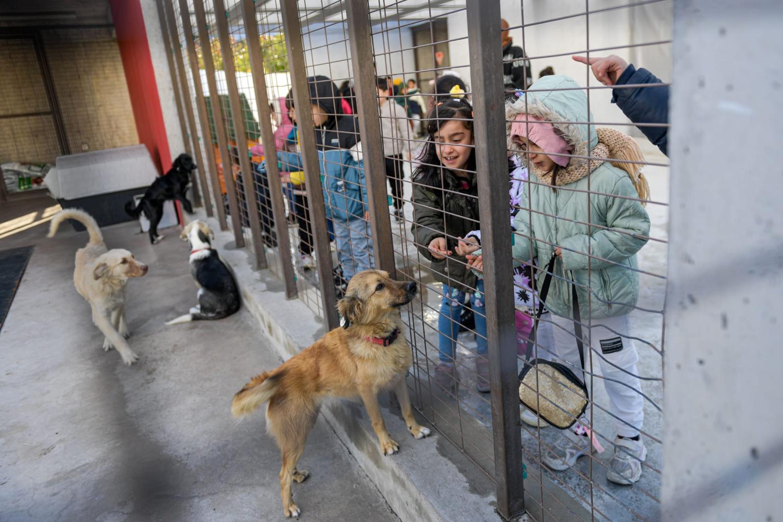 İzmir’de Öğrencilere Hayvan Sevgisi Aşılanıyor (5)
