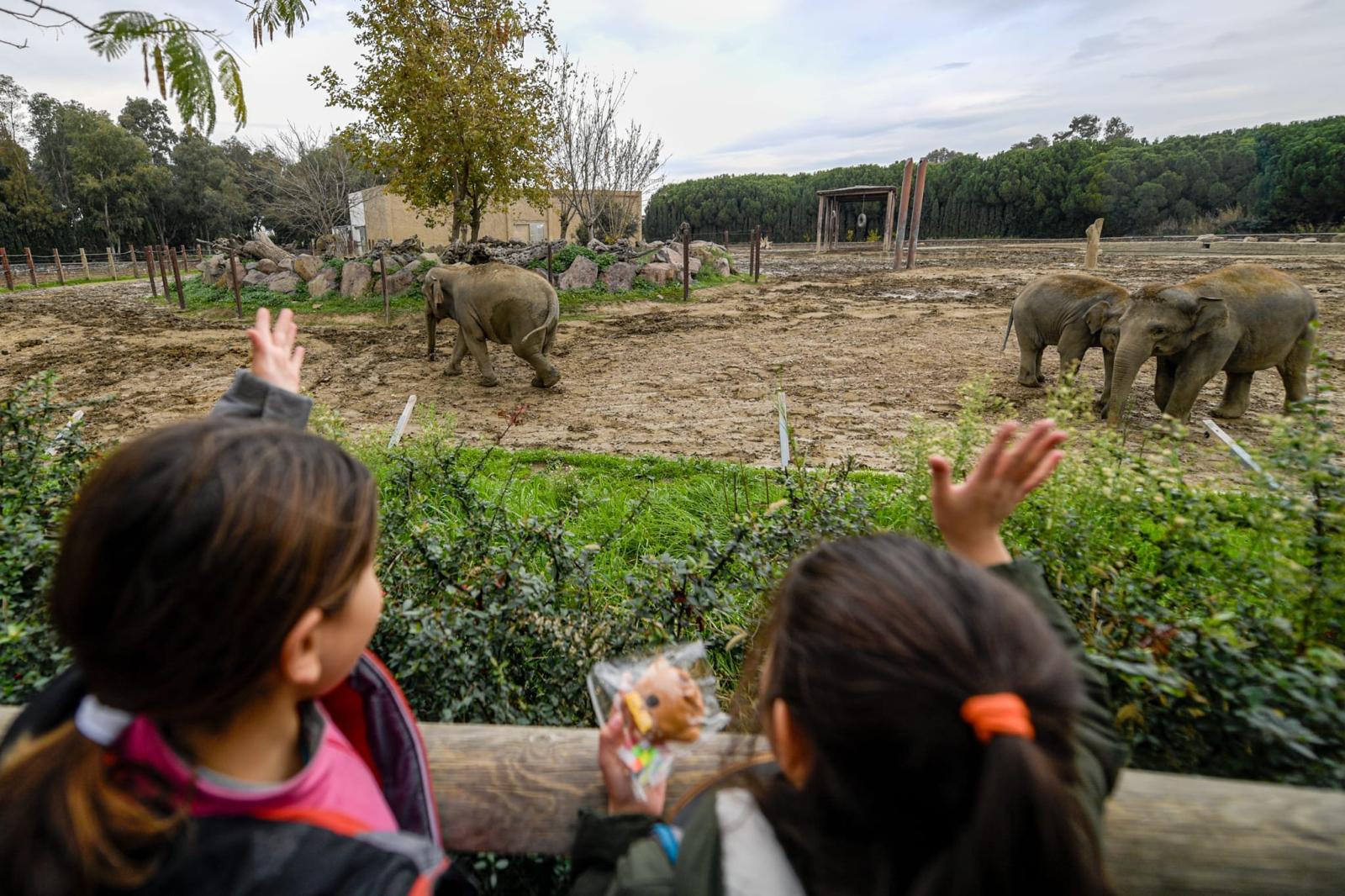 İzmir’de Öğrencilere Hayvan Sevgisi Aşılanıyor (7)