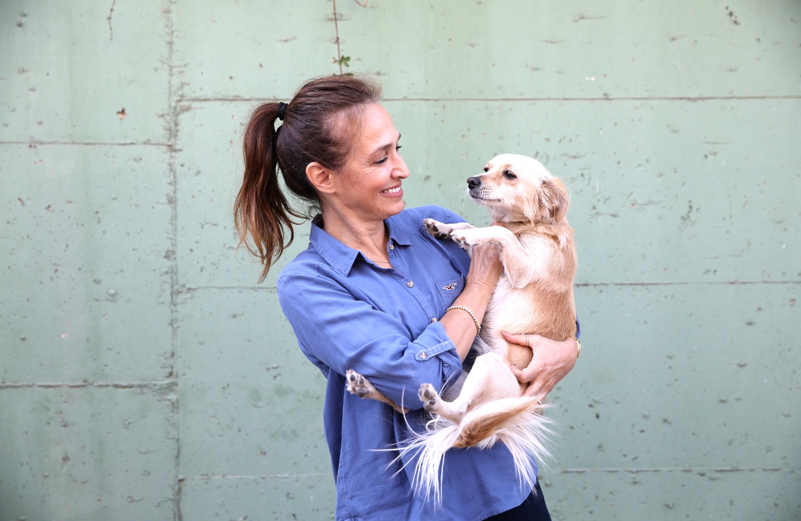 Karşıyaka’da 1 Yılda 40 Bin Hayvanın Hayatını Değiştiren Proje! (2)