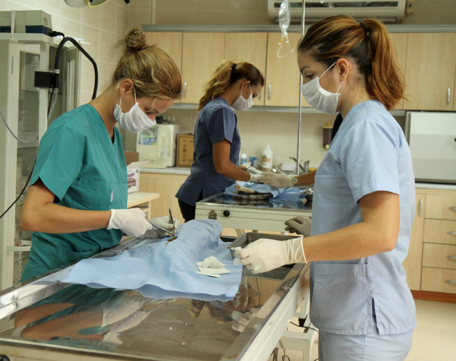 Karşıyaka’da 1 Yılda 40 Bin Hayvanın Hayatını Değiştiren Proje! (6)