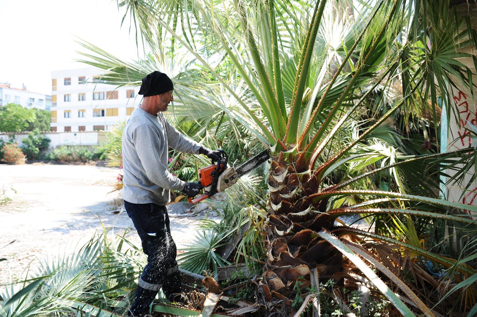 Karşıyaka’nın Parklarında Bir Yılda Büyük Dönüşüm (7)