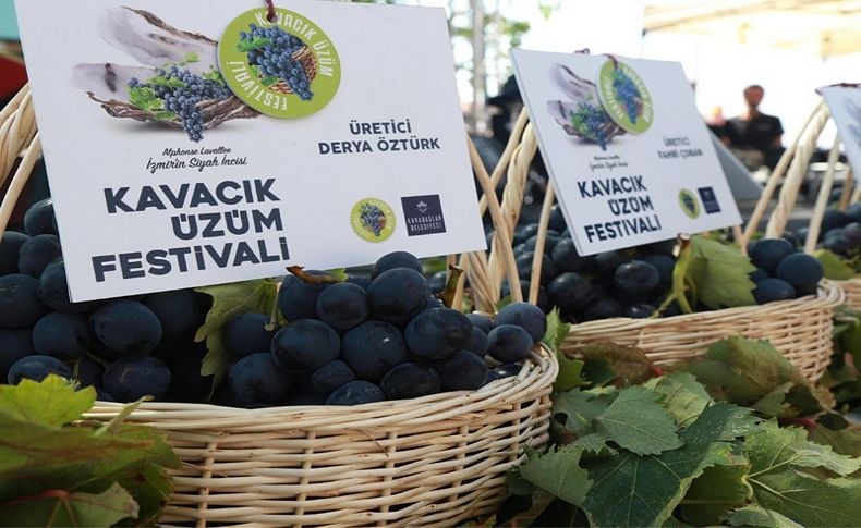 Kavacık Üzüm Festivali (Eylül)