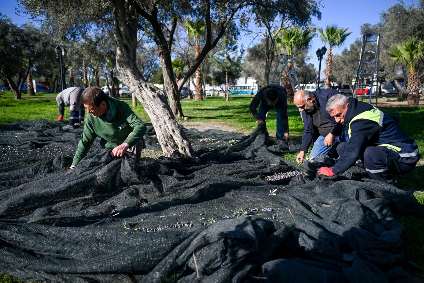 Kent Market Raflarında Ücretsiz Dağıtılacak (4)