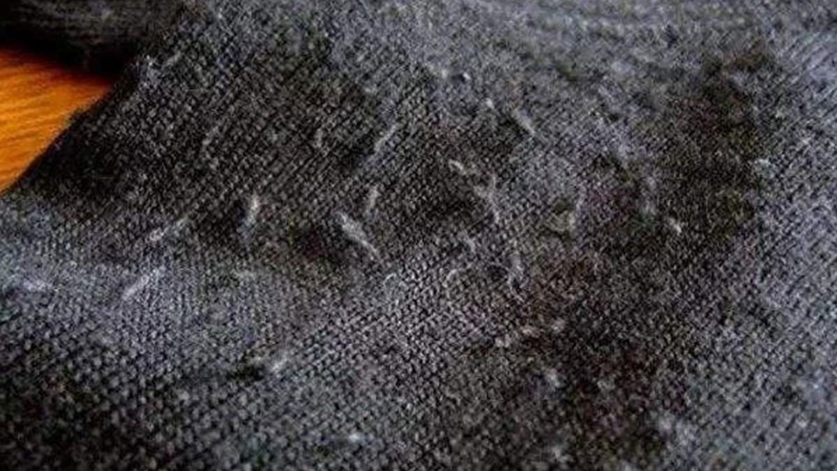 Kışlık Kıyafetlerin Ömrünü Uzatın Kazak Tüylenmesini Önlemenin Ve Mont Lekelerini Çıkarmanın Pratik Yöntemleri (1)