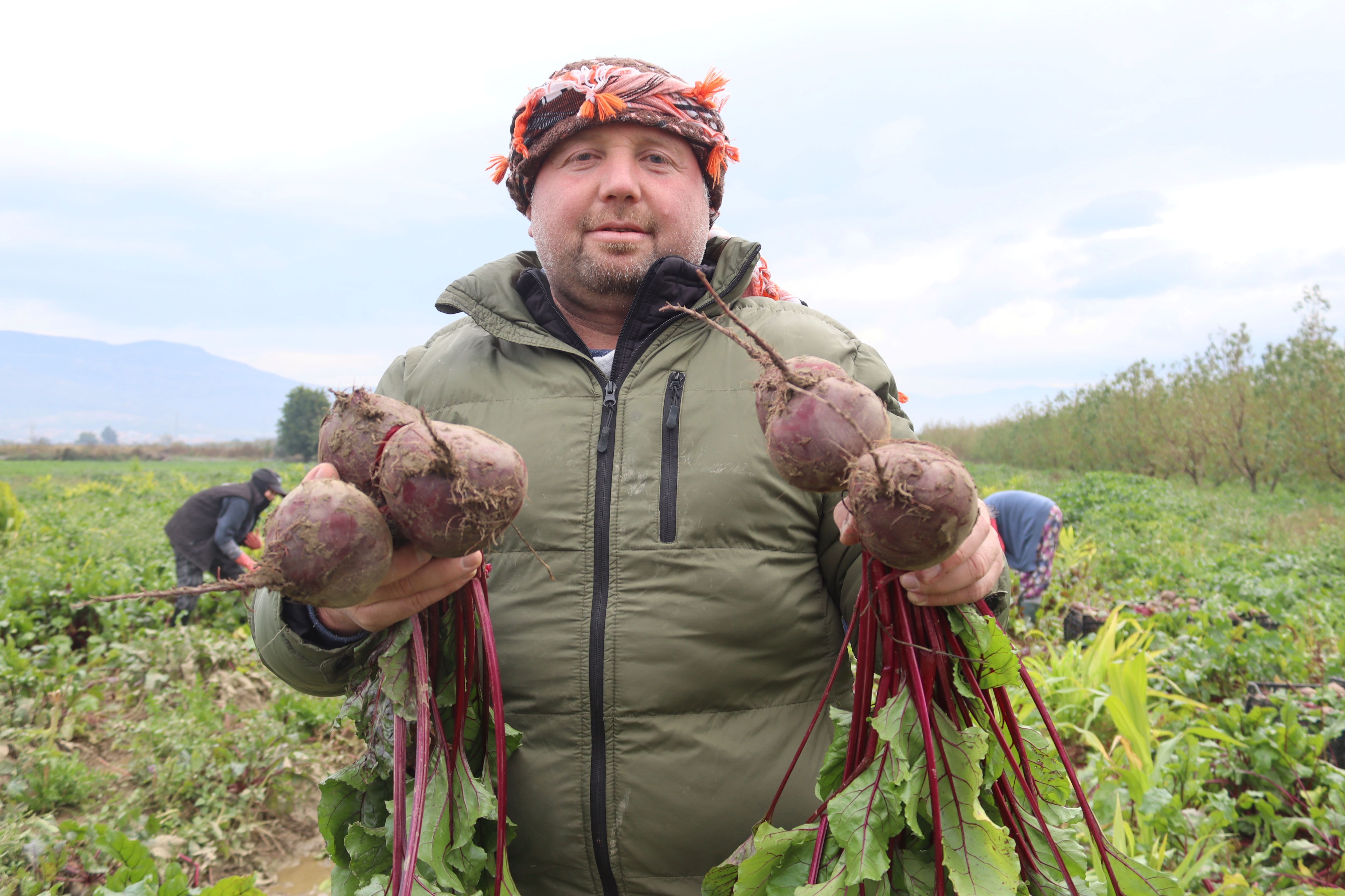 Menemen’de Kırmızı Pancar Hasadı Üreticinin Yüzünü Güldürdü (3)