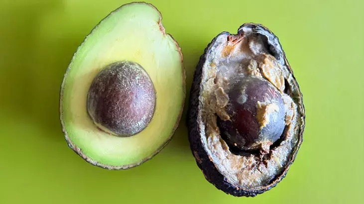 Meyveler Neden Kararır Avokadoyu Saatlerce Yeşil Tutan Yöntem Meğer Buymuş! (2)