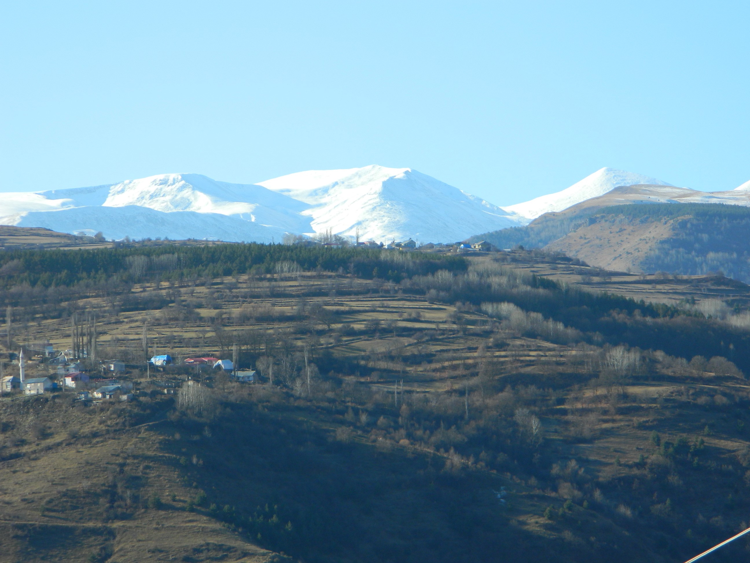 Posof’ta Görenler Inanamadı! Yeşil Ile Beyaz Aynı Karede Buluştu (1)