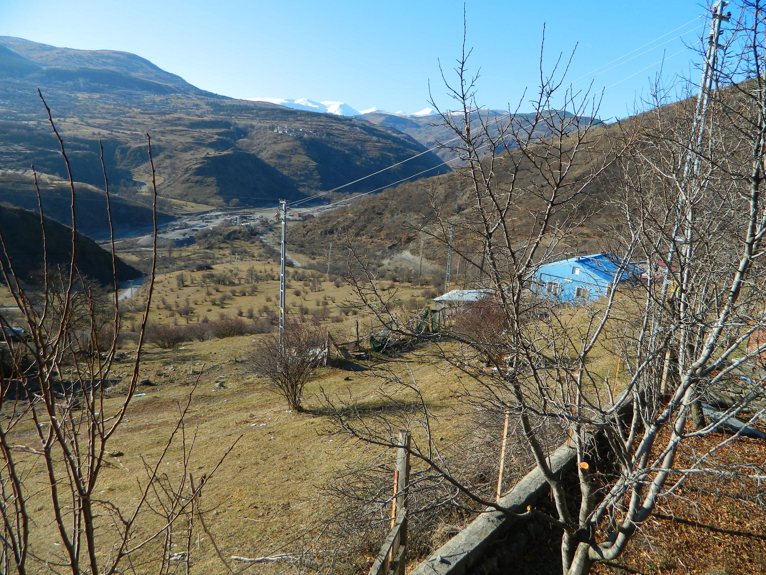 Posof’ta Görenler Inanamadı! Yeşil Ile Beyaz Aynı Karede Buluştu (3)
