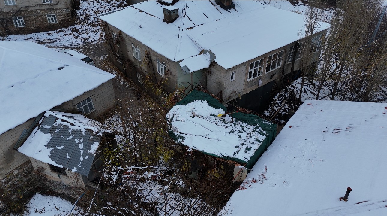 Sadece Bu Bölgede Yetişiyor Kara Kışa Meydan Okuyor! (10)