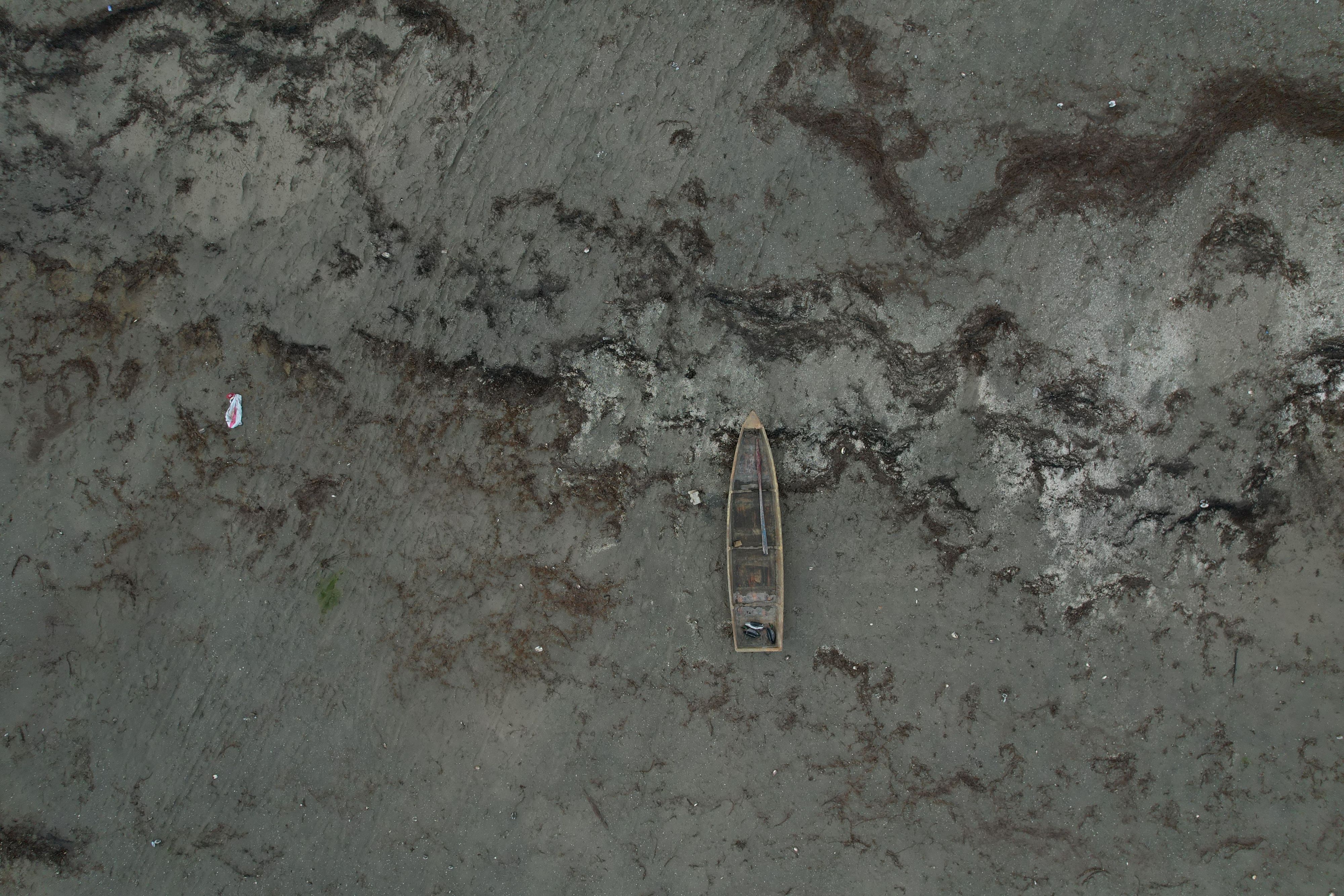 Sapanca Gölü’nden Kötü Haber! (8)