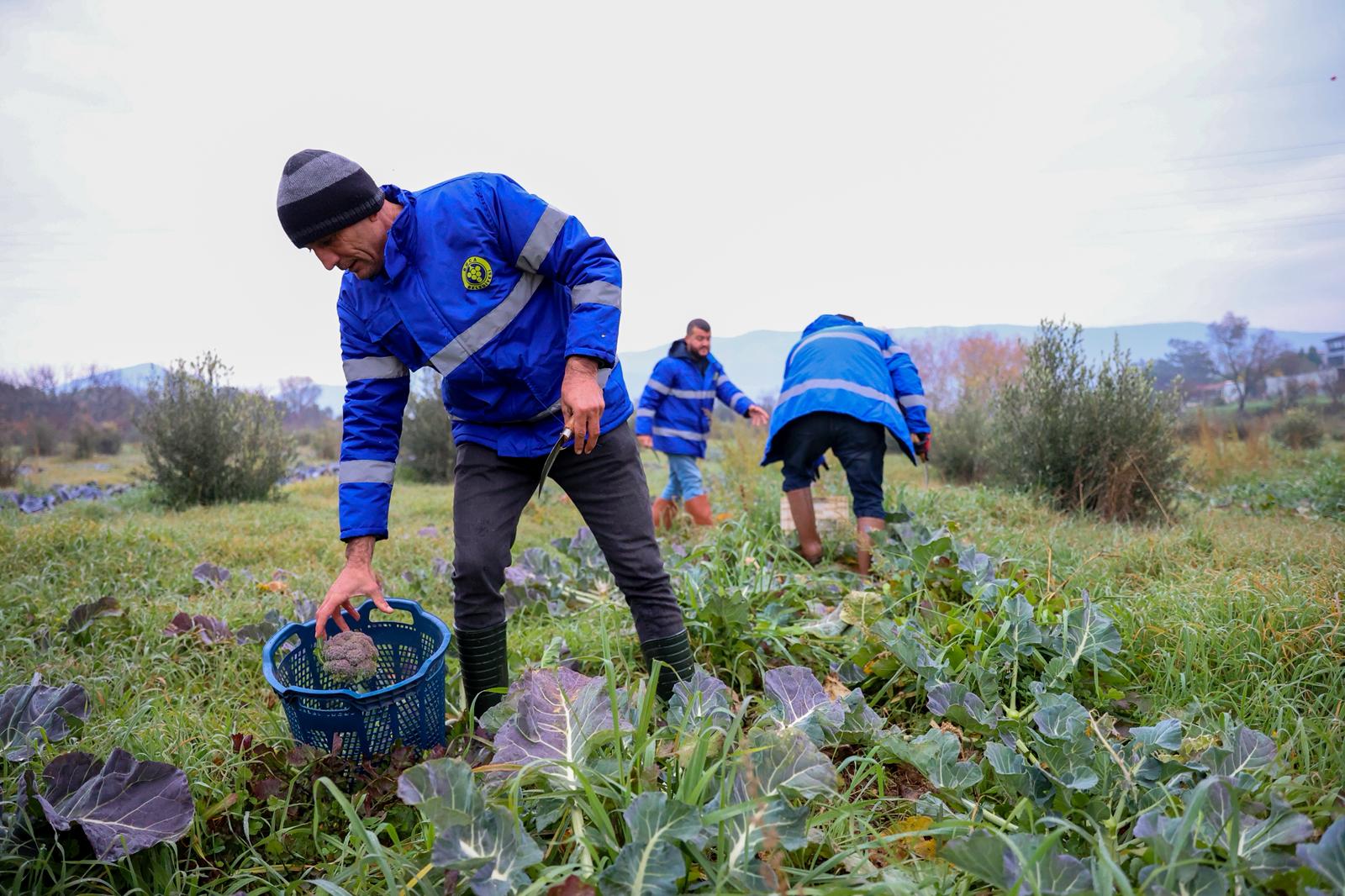 Tarladan Kent Lokantalarına Uzanan Örnek Dayanışma (5)