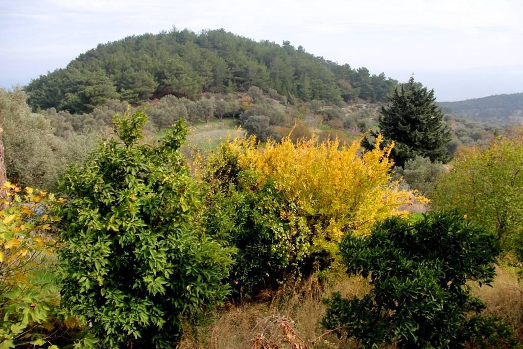 Taş Evler, Ege Manzarası Ve Sessizlik… Ege'nin Yeni Gözdesi Şirince’yi Solladı! (8)