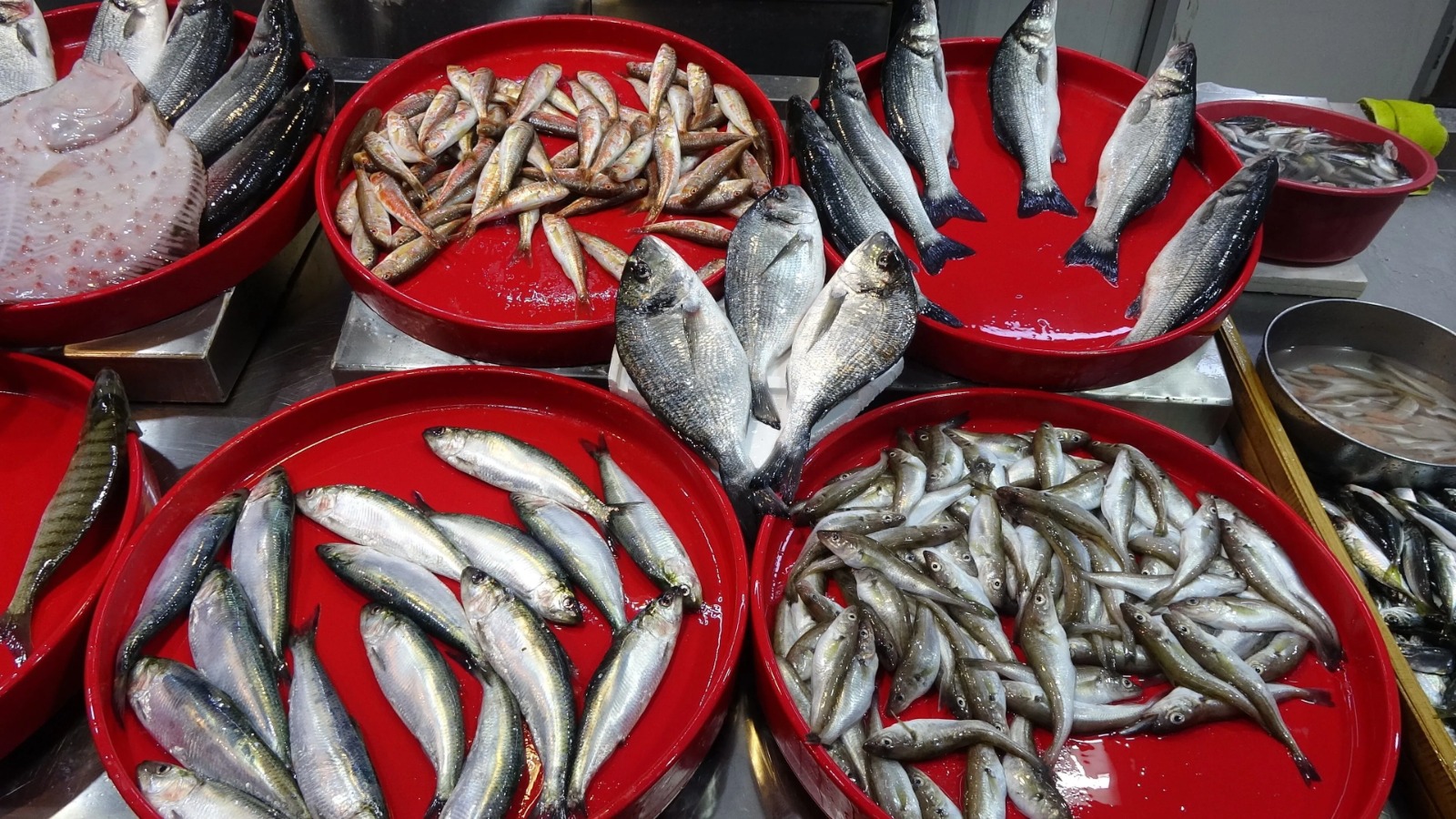 Taze Sandığınız Balık Bayat Çıkabilir! Balıkçılar Uyardı, Istavrit Ve Mezgit Alırken Bu Detaylara Dikkat (1)