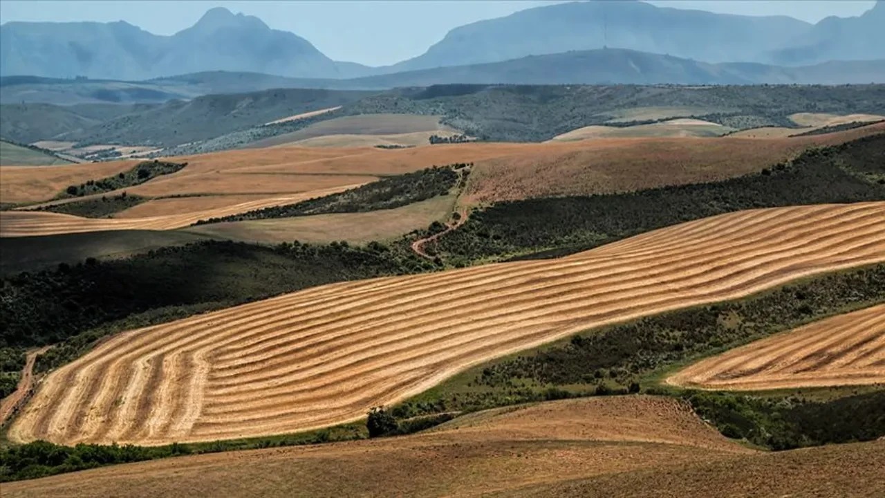 Toki Indirimli Arsa Satiyor 47 I