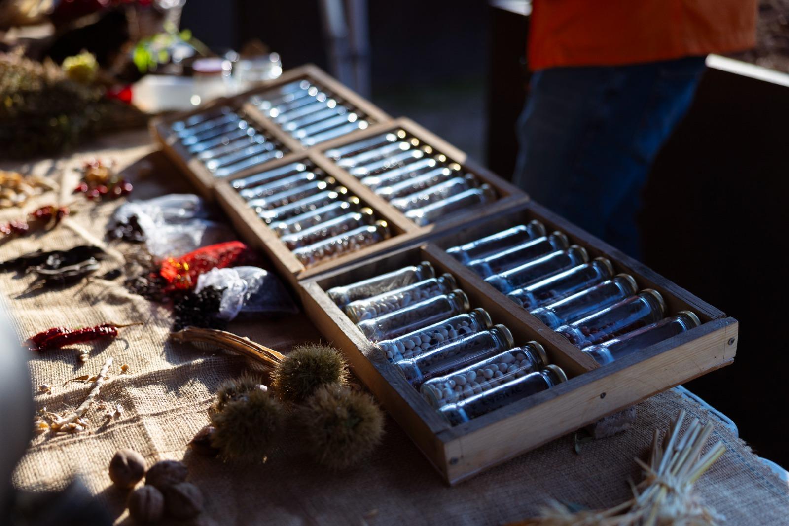 Toprakla Tanıştılar, Üretimi Öğrendiler! Aileler Duygusal Anlar Yaşadı (4)