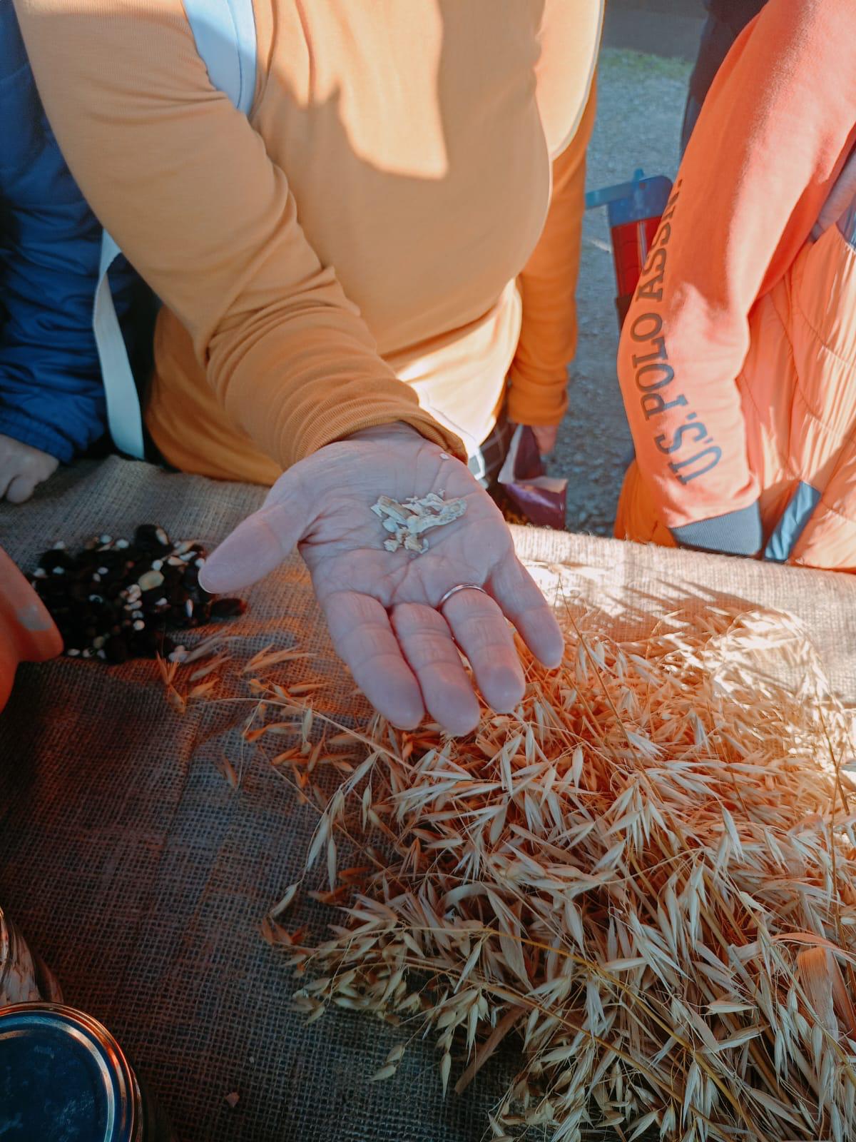 Toprakla Tanıştılar, Üretimi Öğrendiler! Aileler Duygusal Anlar Yaşadı (5)