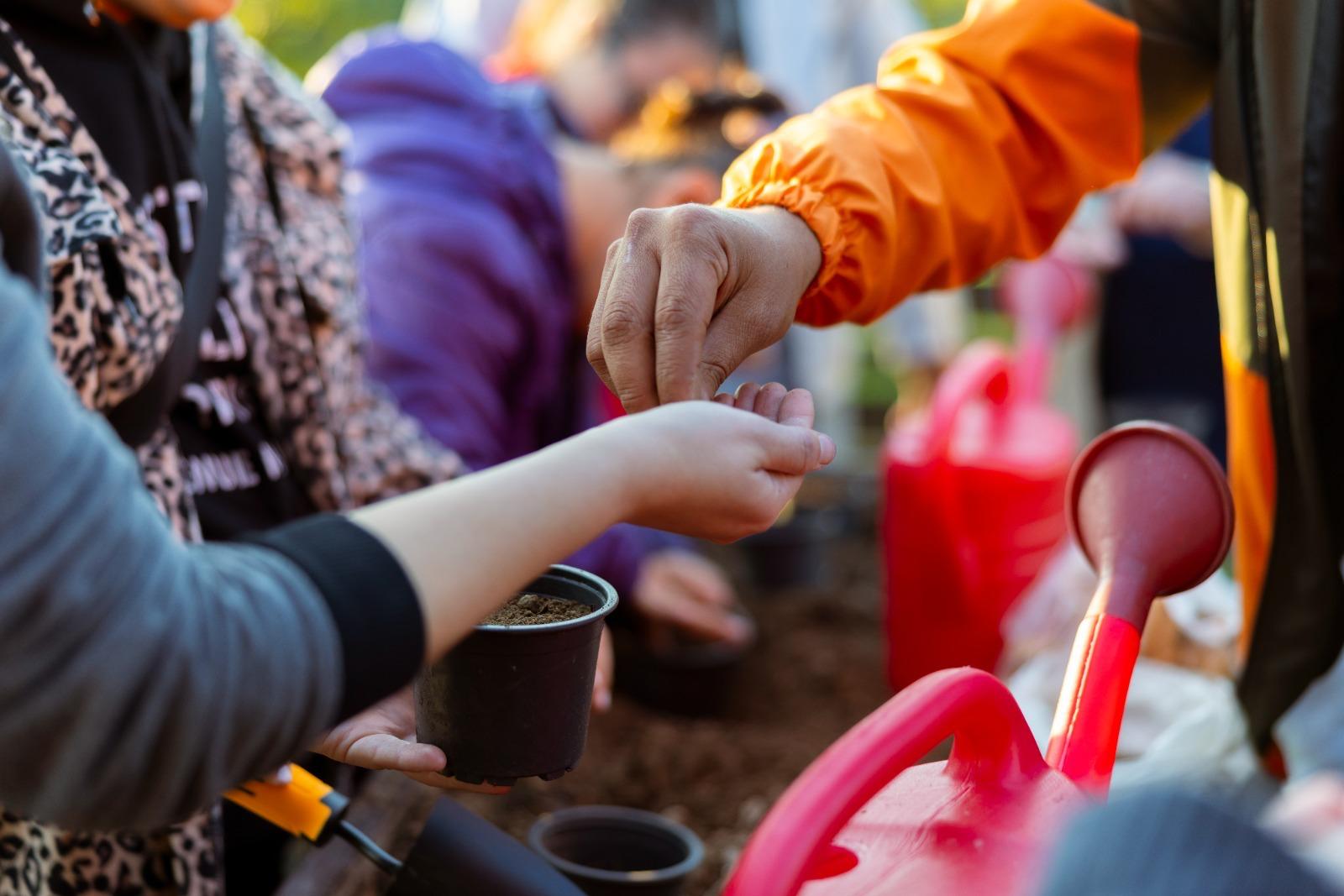 Toprakla Tanıştılar, Üretimi Öğrendiler! Aileler Duygusal Anlar Yaşadı (6)