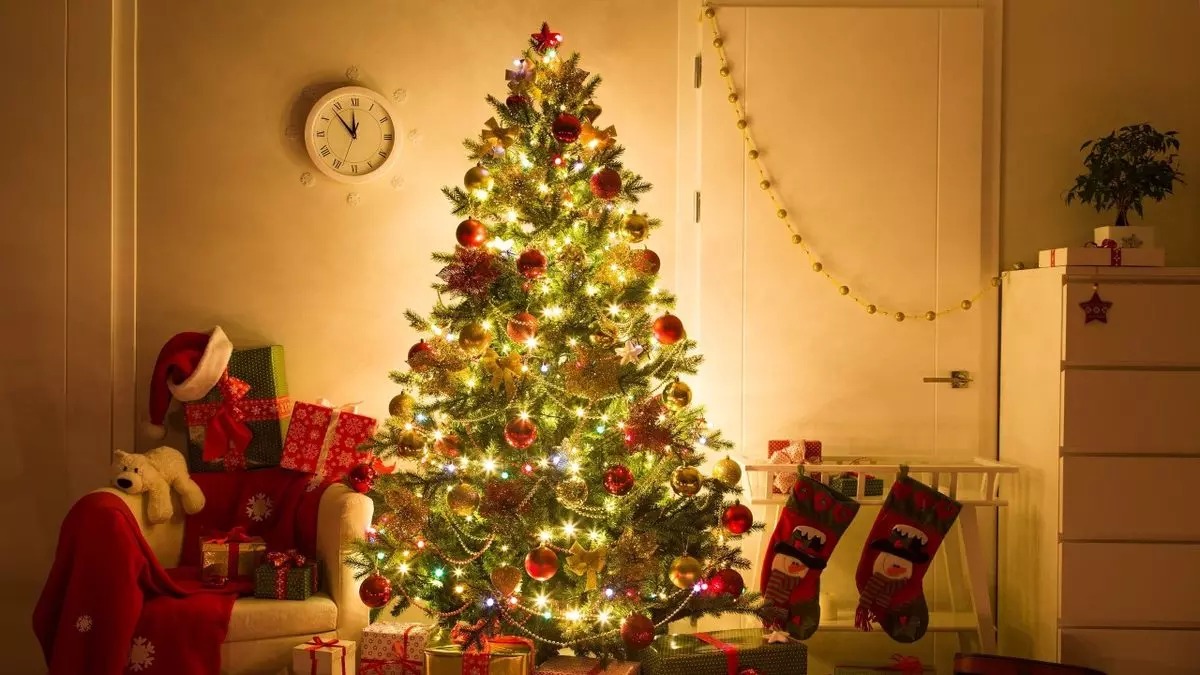 Yılbaşı Ağacını Nereye Koymalısınız Feng Shui’ye Göre Enerjiyi Kesen Noktalar (2)