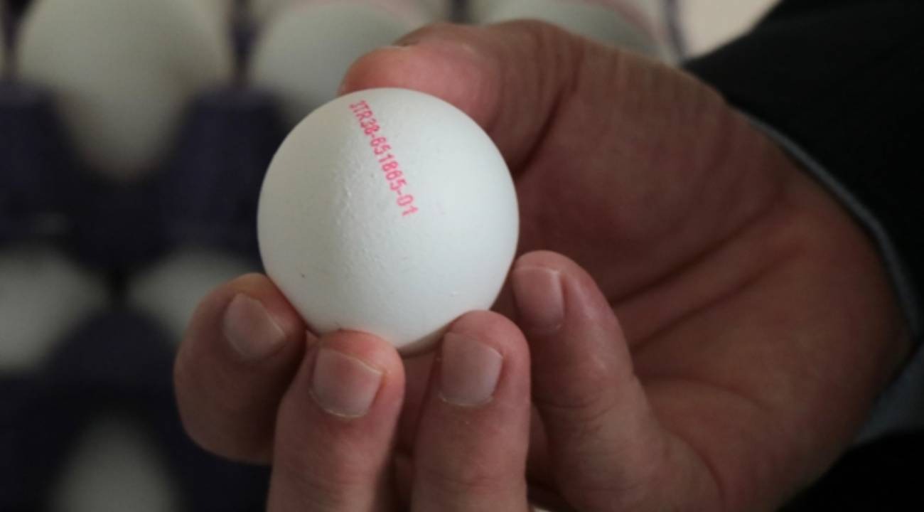 Yumurta Kodları Ne Anlama Geliyor 1 2 3 Numaralı Yumurtaların Farkları (1)