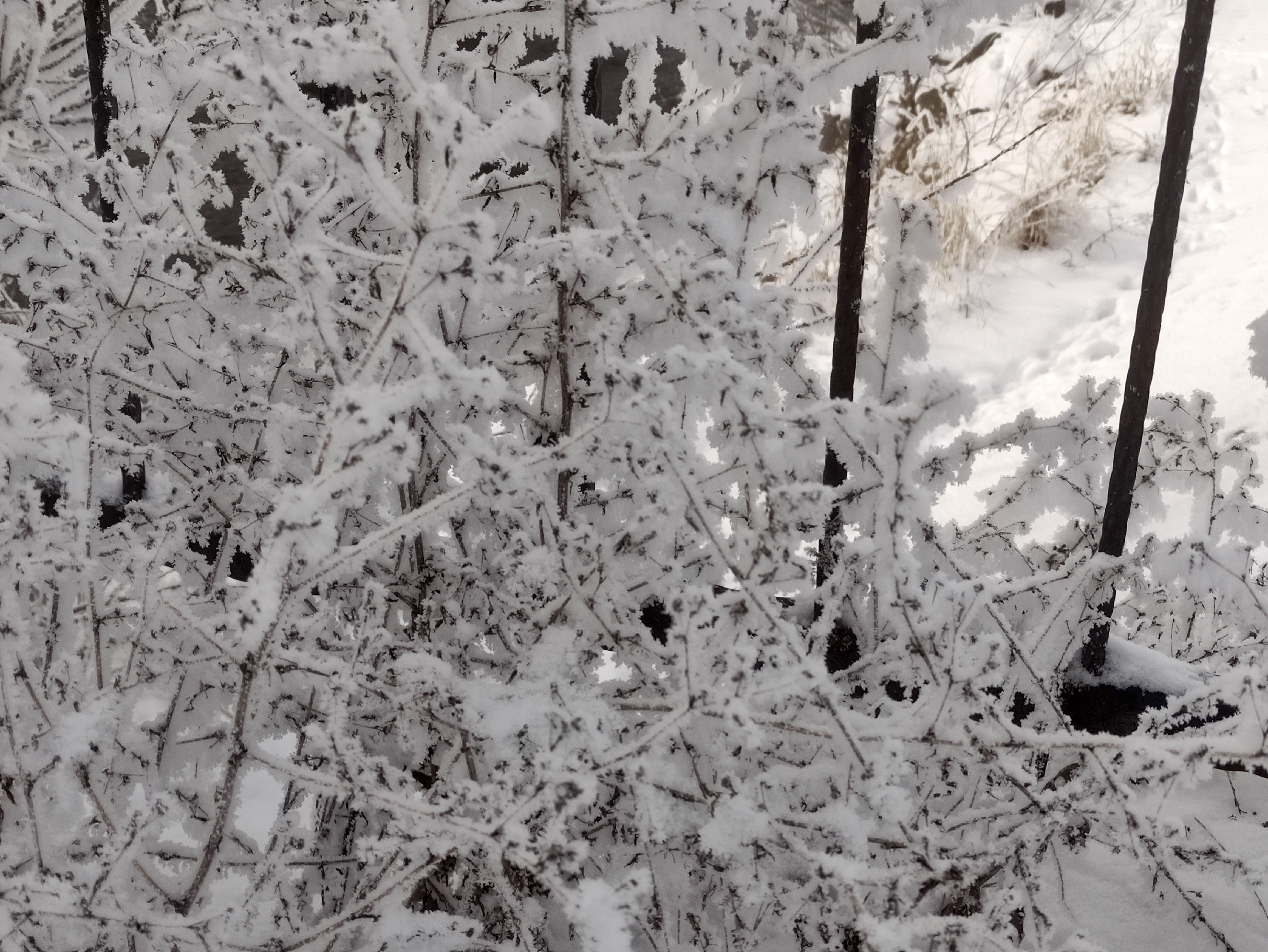 Ardahan’da Kar Yağışının Ardından Etkisini Artıran Dondurucu Soğuklar, Kenti Adeta Buzla Kapladı (2)