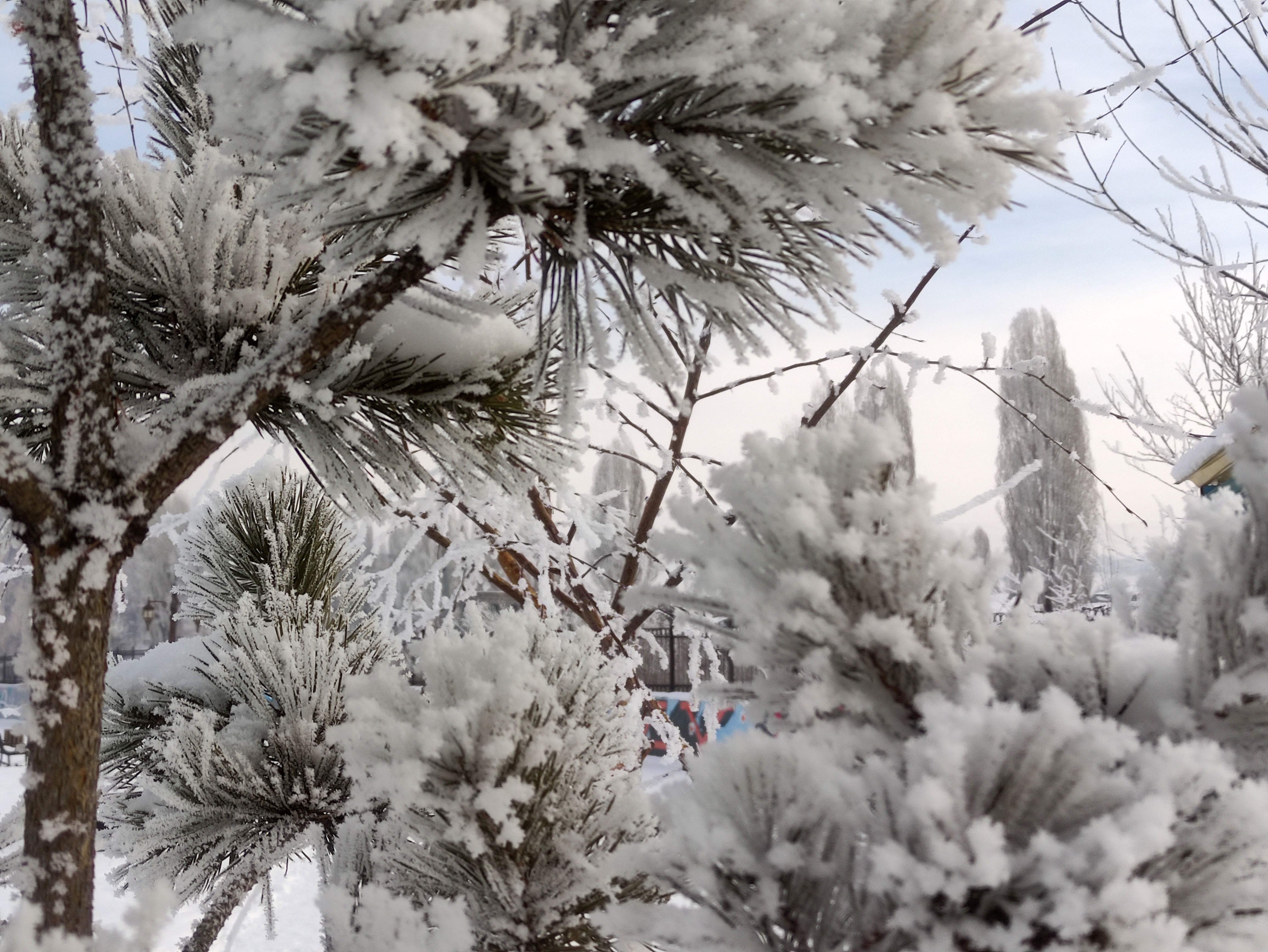 Ardahan’da Kar Yağışının Ardından Etkisini Artıran Dondurucu Soğuklar, Kenti Adeta Buzla Kapladı (4)