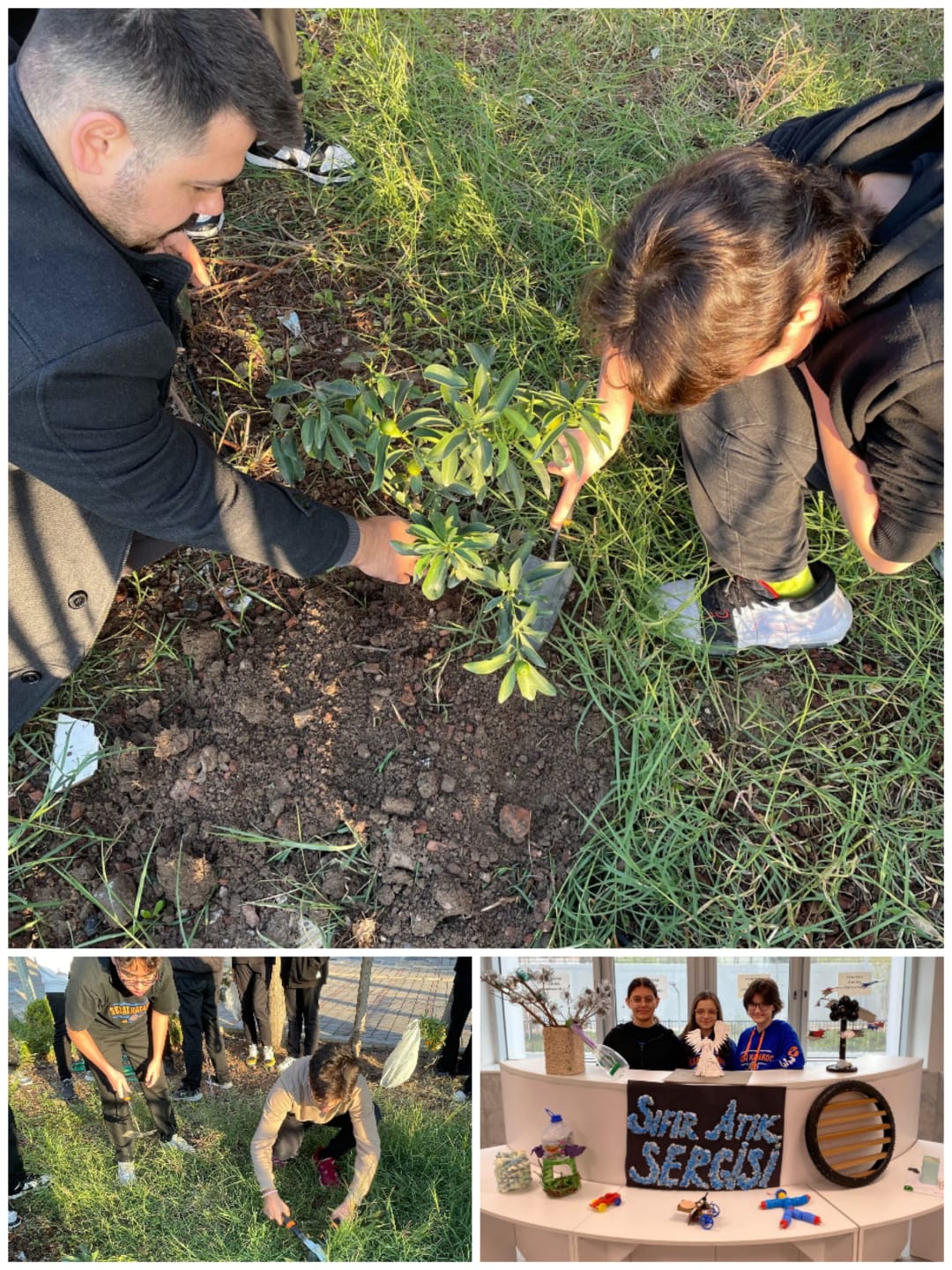 Atiktan Sanata, Tohumdan Umuda…