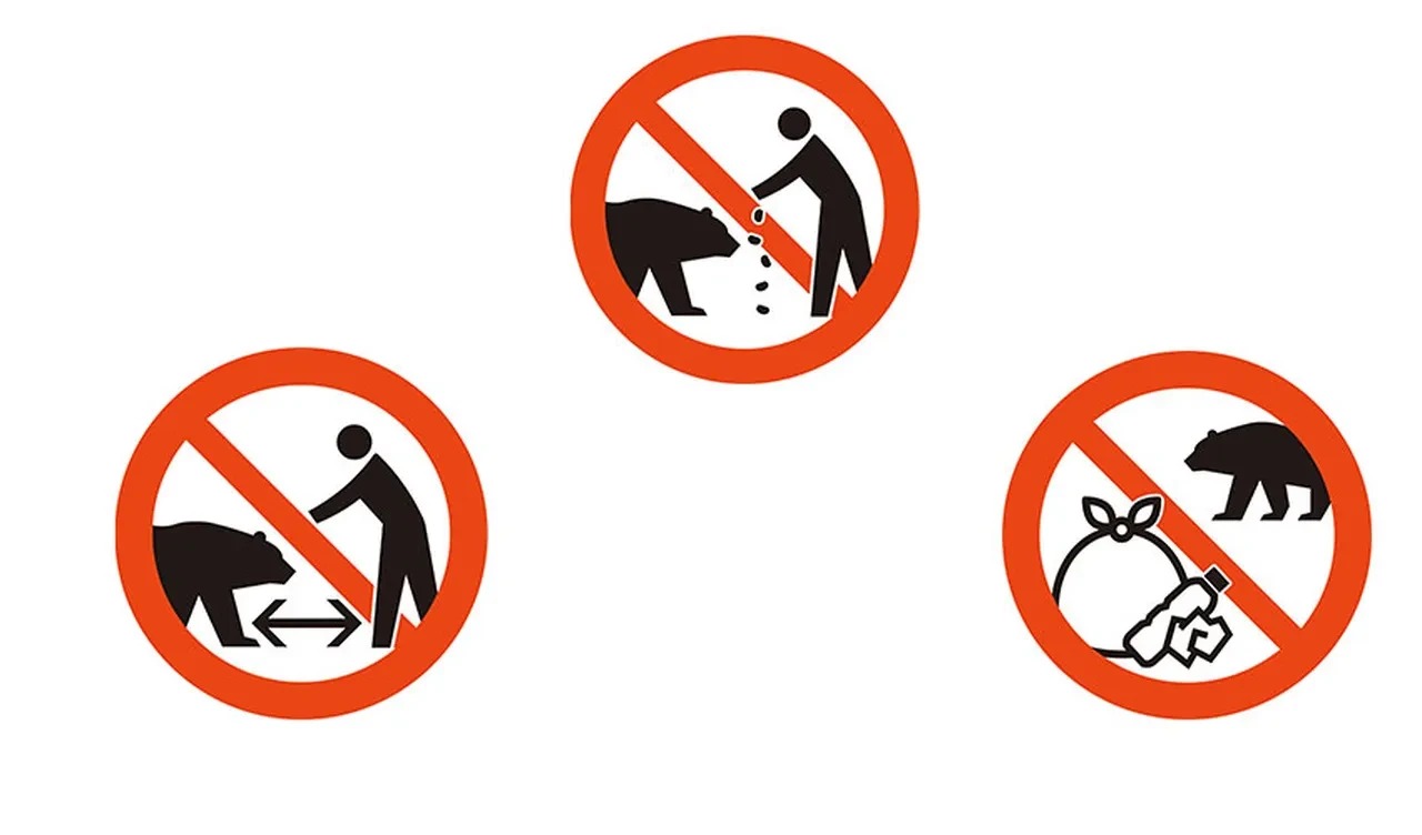 Ayı Saldırılarına Karşı Yeni Levhalar Tanıtıldı!-1