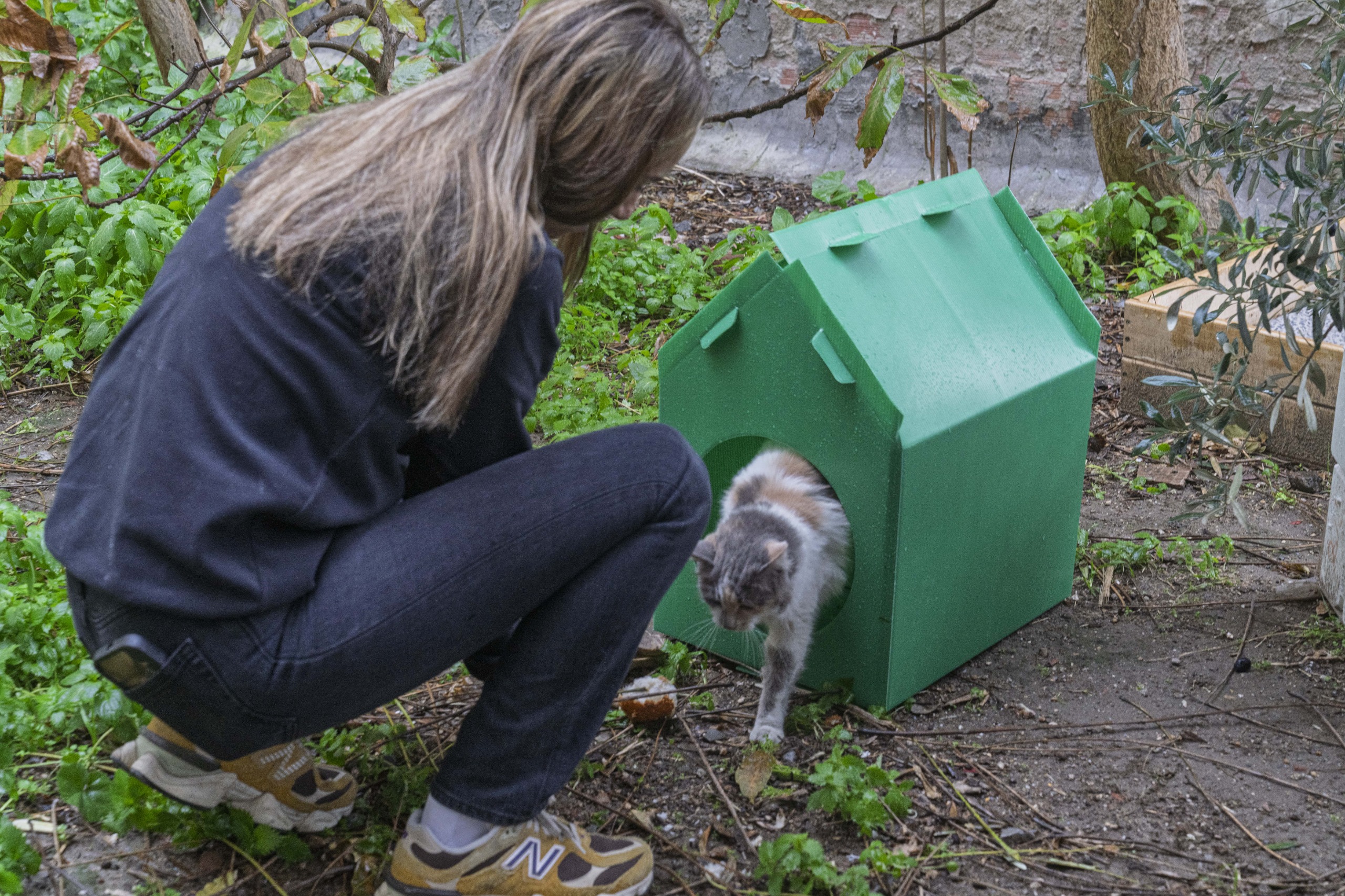 Başkan Tugay Söz Verdi, Kediler Sıcak Yuvalarına Kavuştu (9)