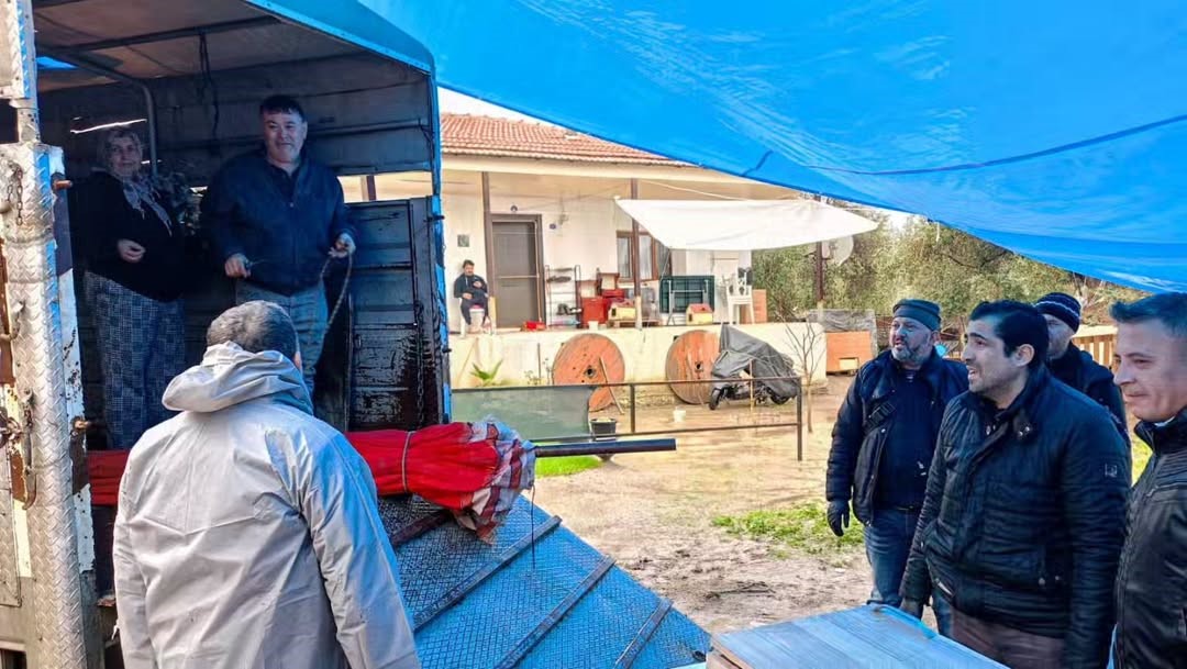 Bayındır Nergis Ve Kuru Çiçek Festivali Iptal Edildi (2)