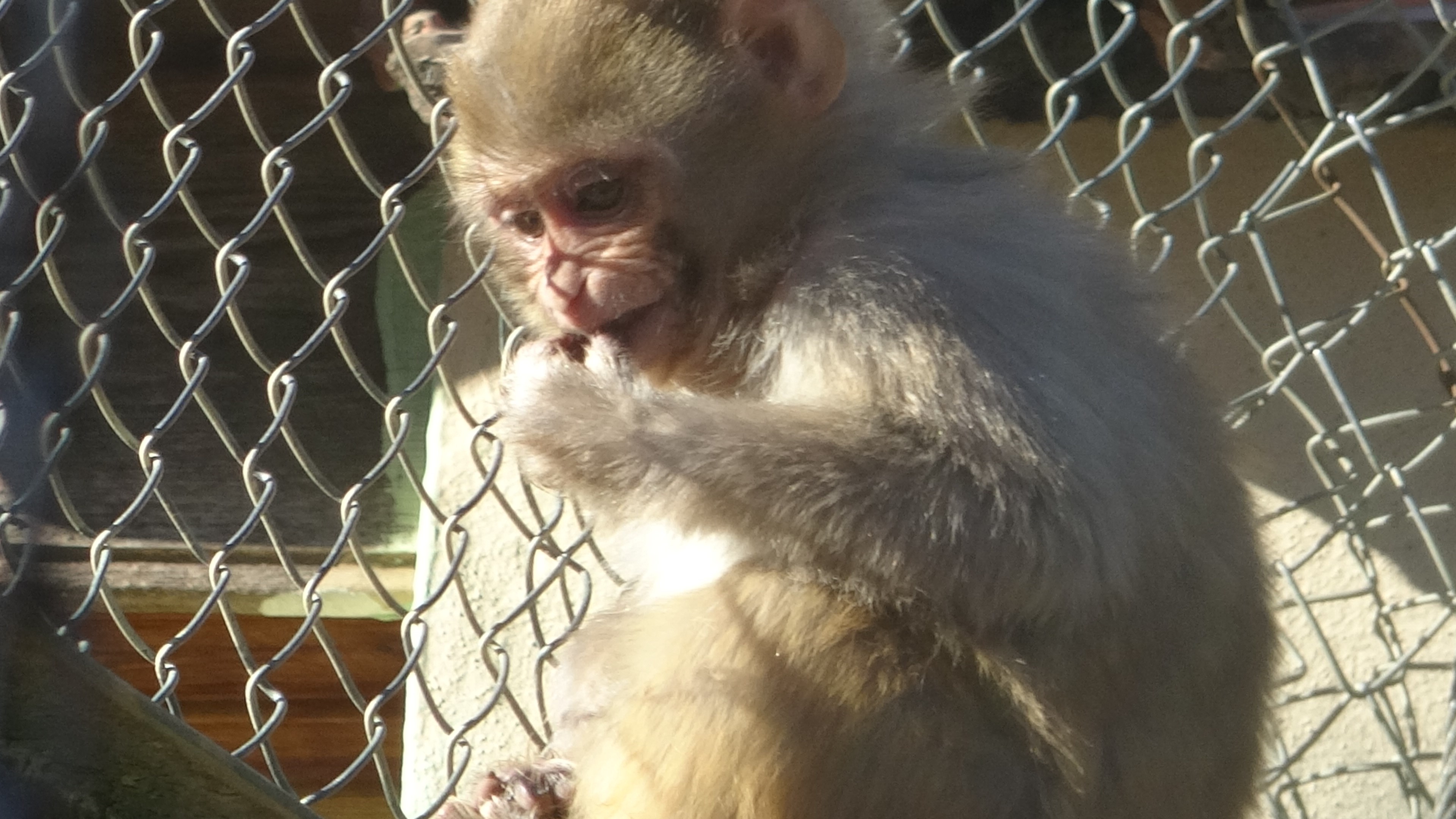 Bir Kolinin Içinden Çıktı, Şimdi Bir Ailesi Var (7)