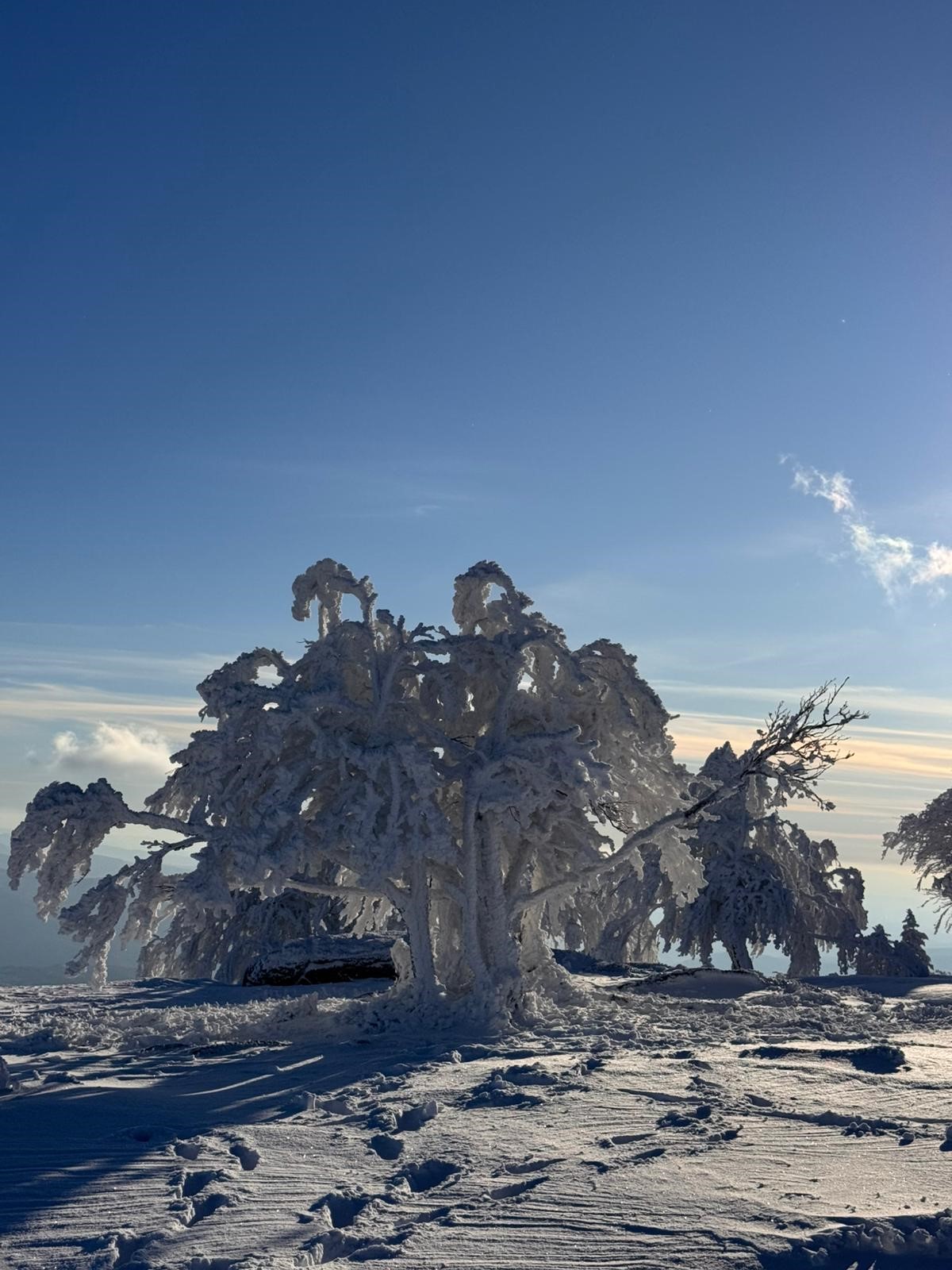 Çataldağ’da Sibirya’yı Aratmayan Kış Manzarası (1)-1