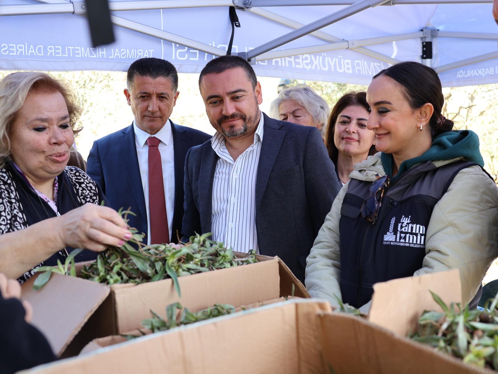 Cemil Tugay Düğmeye Bastı Menderes’te Salep Üretimi Başlıyor (16)