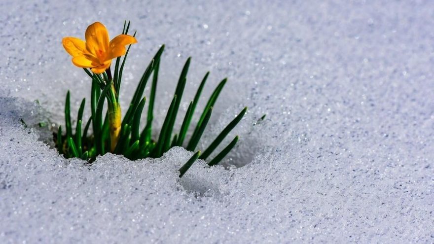 Cemre Düşmesi Nedir İlk Cemre Ne Zaman Ve Nereye Düşecek Cemre Düşme Tarihleri 2026 (2)-1