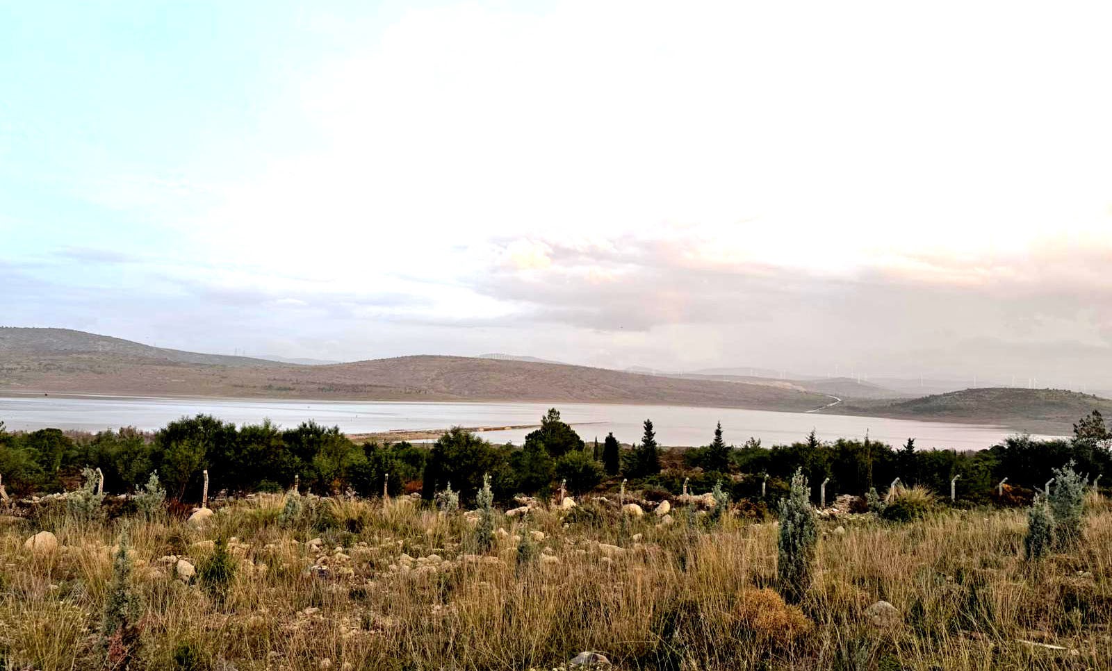 Çeşme’de Kutlu Aktaş Barajı’nda Su Seviyesi Yükseldi