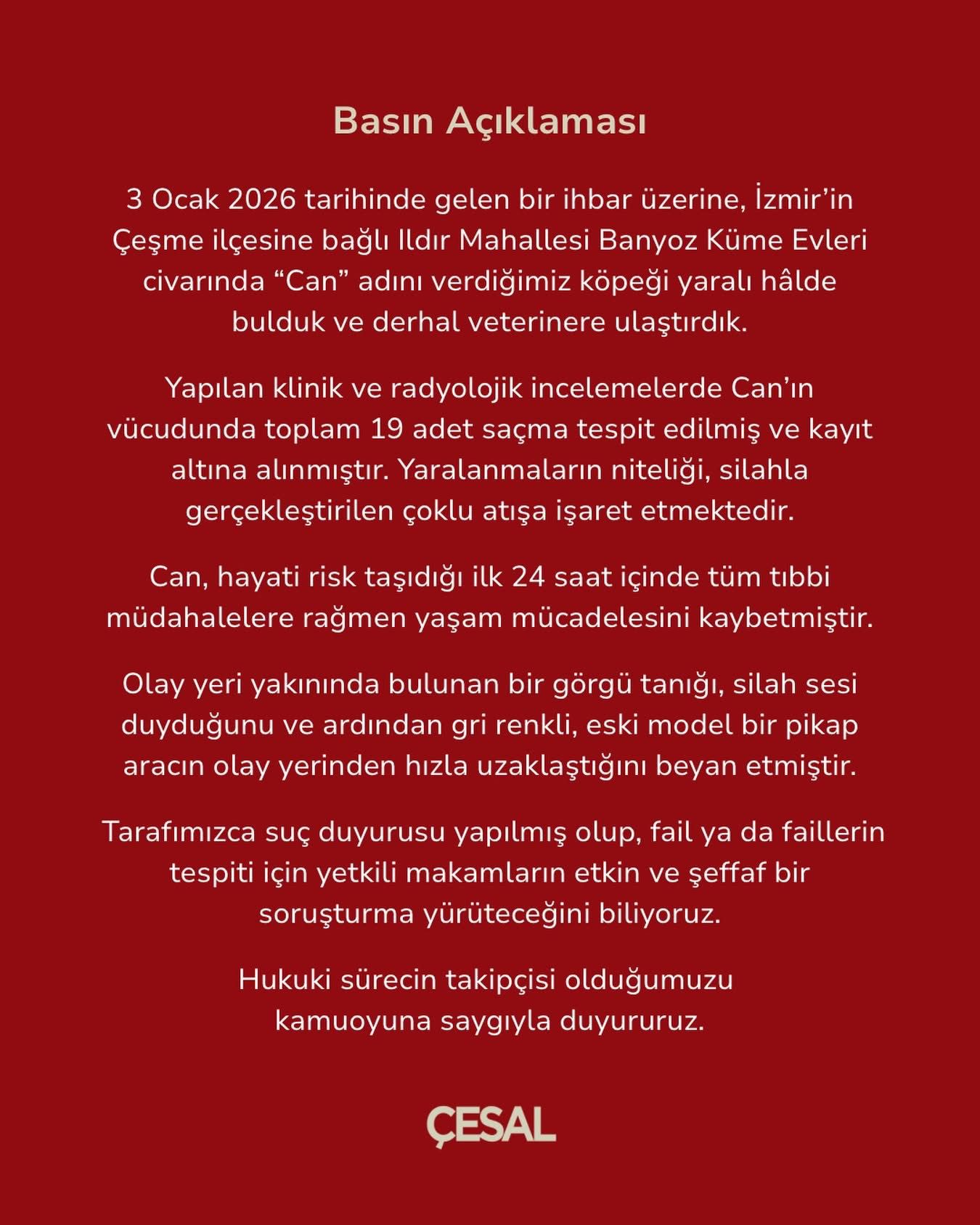 Çeşme’de Sokak Canı Vahşetine, Çeşme Çesal’den Sert Tepki (3)