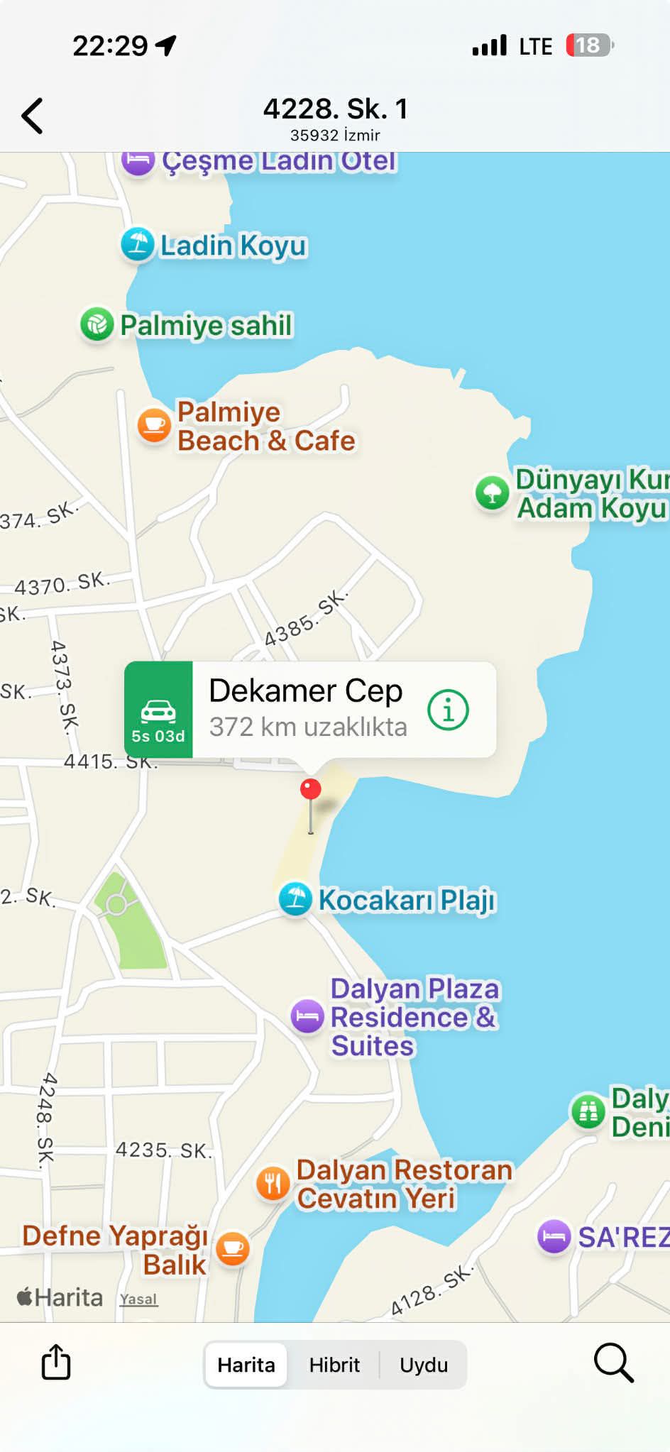 Çeşme’de Yaralı Yavru Caretta Caretta Muğla’da Hayata Tutundu (1)