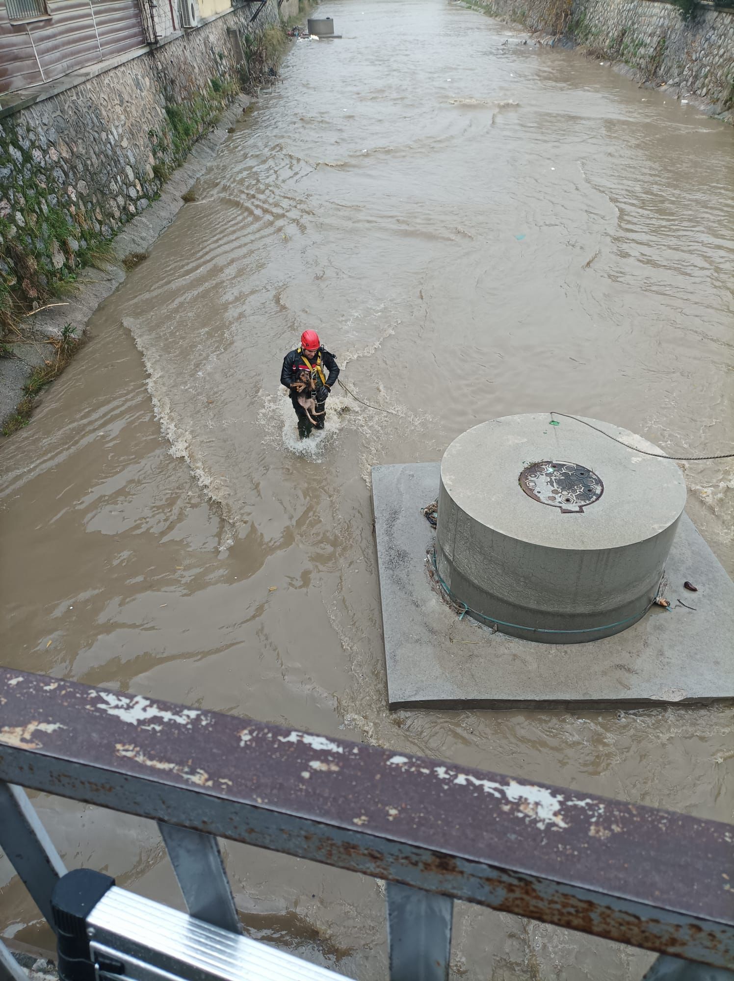 Dereye Düşen Köpek Itfaiyenin Hızlı Müdahalesiyle Kurtarıldı (4)