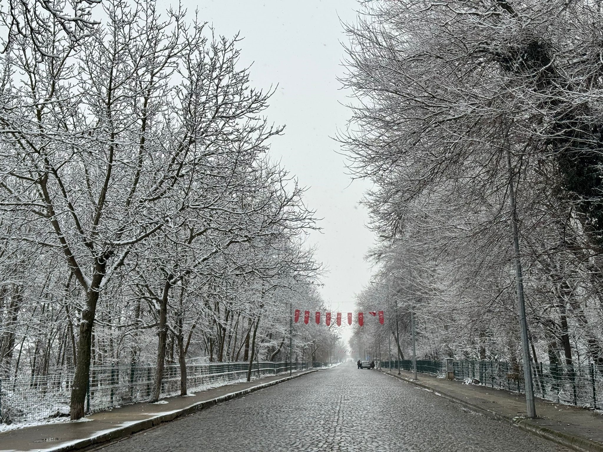 Edirne’de Kar Şöleni Selimiye Camii Beyaza Büründü (3)