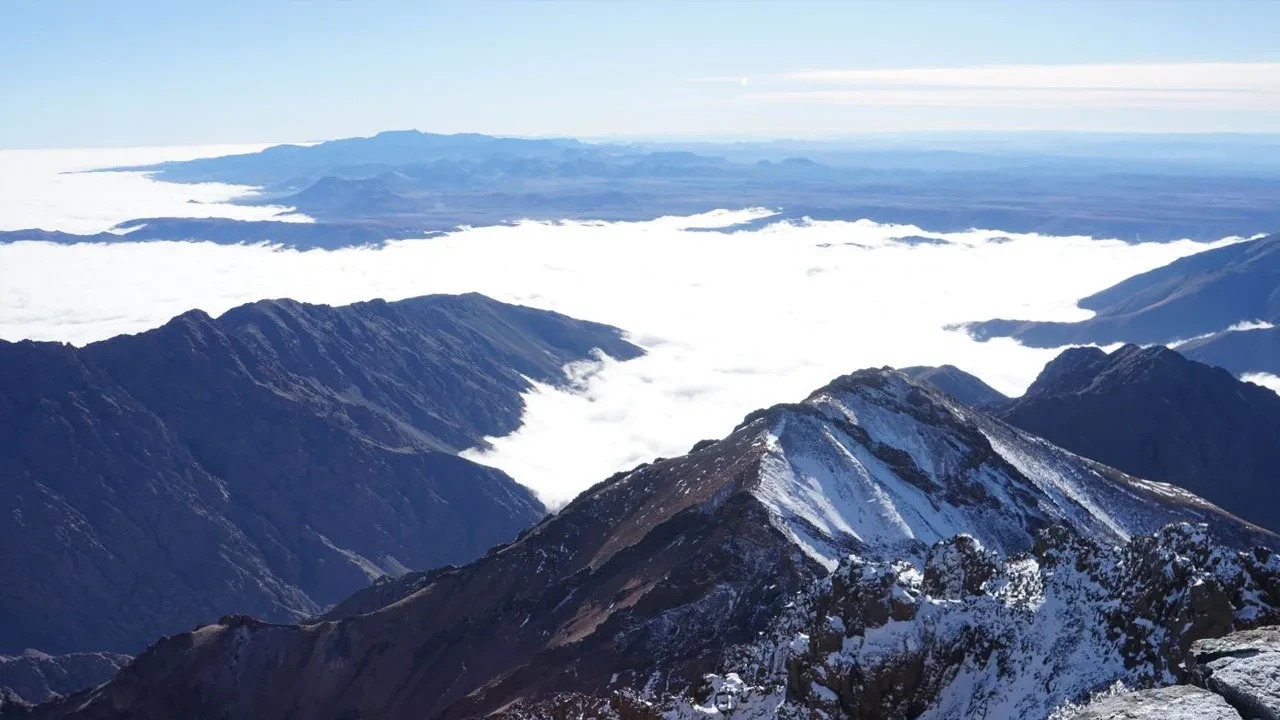 Fasta Cig Faciasi Cesetleri 4 Gu