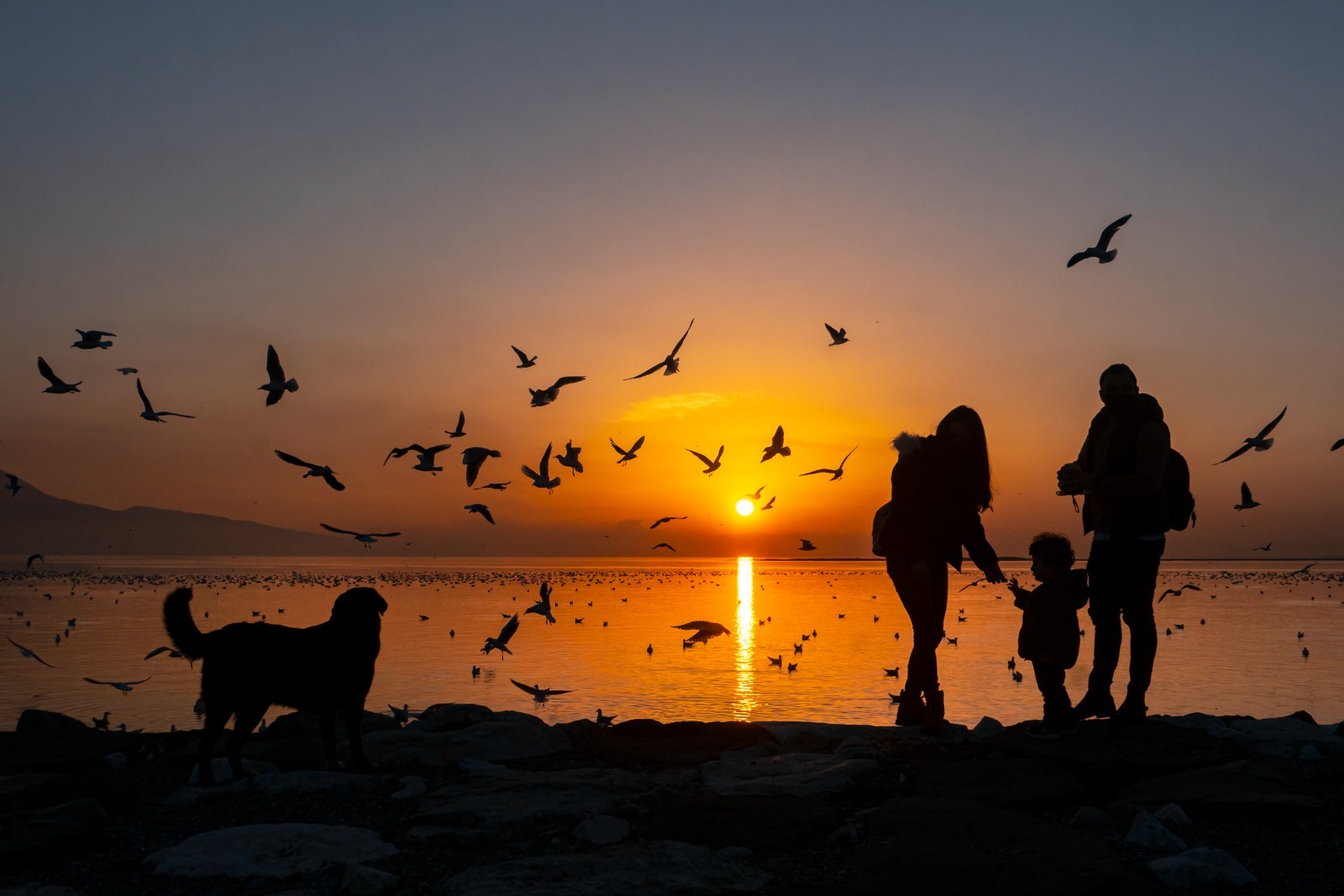 Fotoğraf Tutkunlarına Hatırlatma Son Başvuru 8 Şubat! (3)
