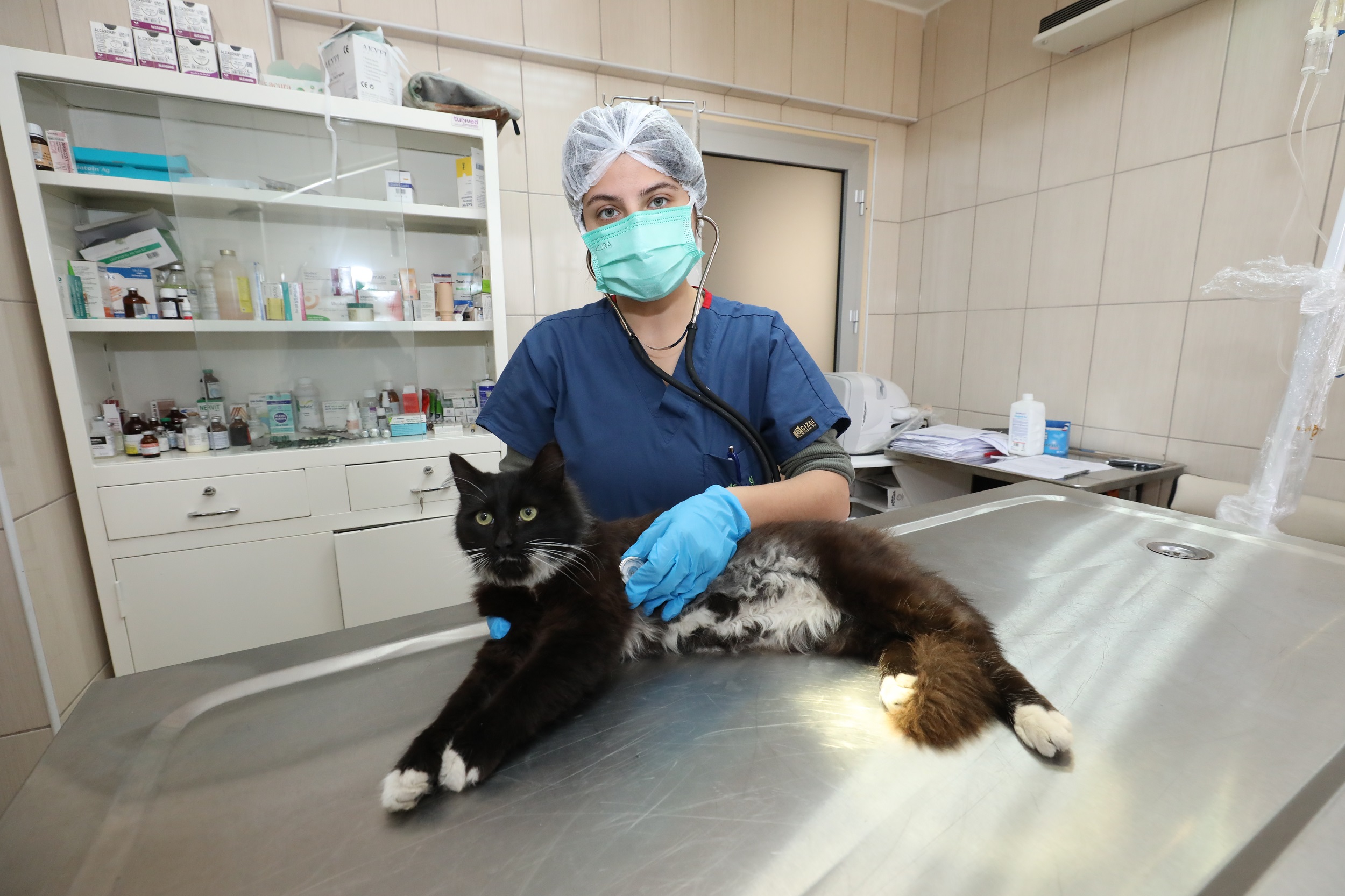 Gaziemir Belediyesi 6 Bin 222 Can Dostun Yaşamına Dokundu (5)