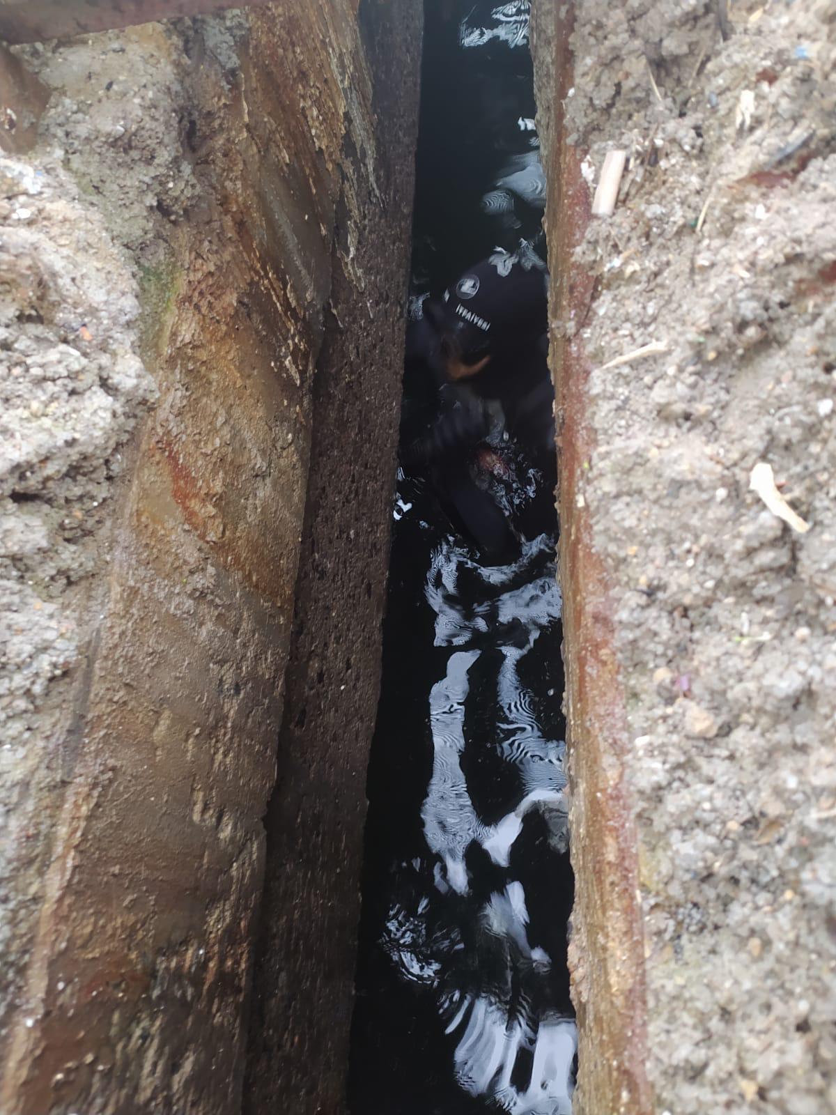 İskele Altından Gelen Ses Herkesi Alarma Geçirdi! (3)