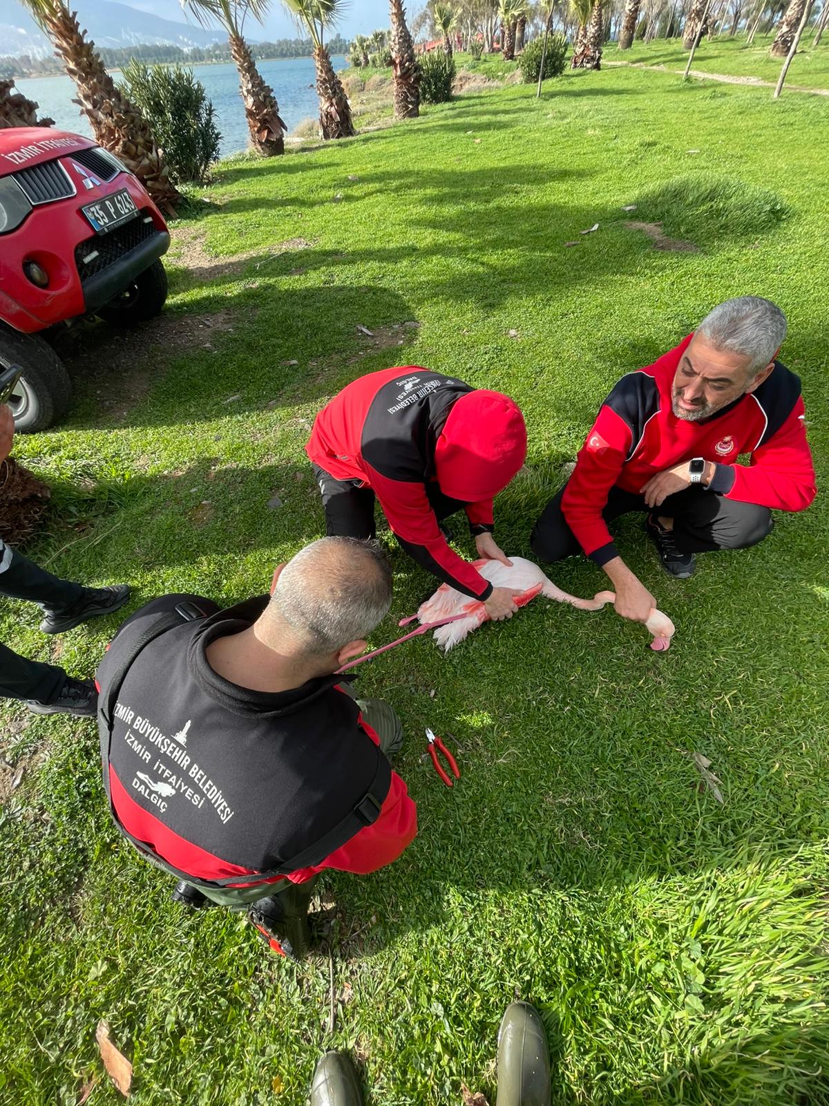 İtfaiye Dalgıçlarından Doğaya Hayat Veren Operasyon (2)