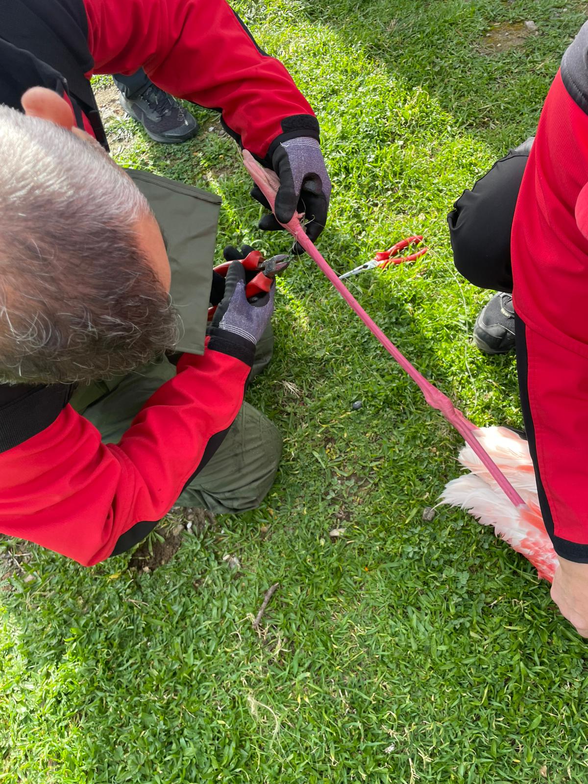 İtfaiye Dalgıçlarından Doğaya Hayat Veren Operasyon (3)