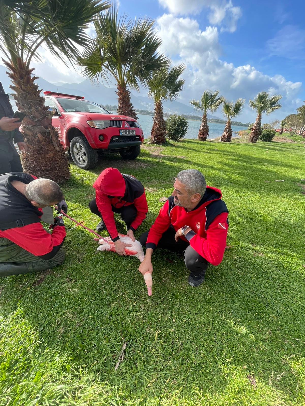 İtfaiye Dalgıçlarından Doğaya Hayat Veren Operasyon (4)