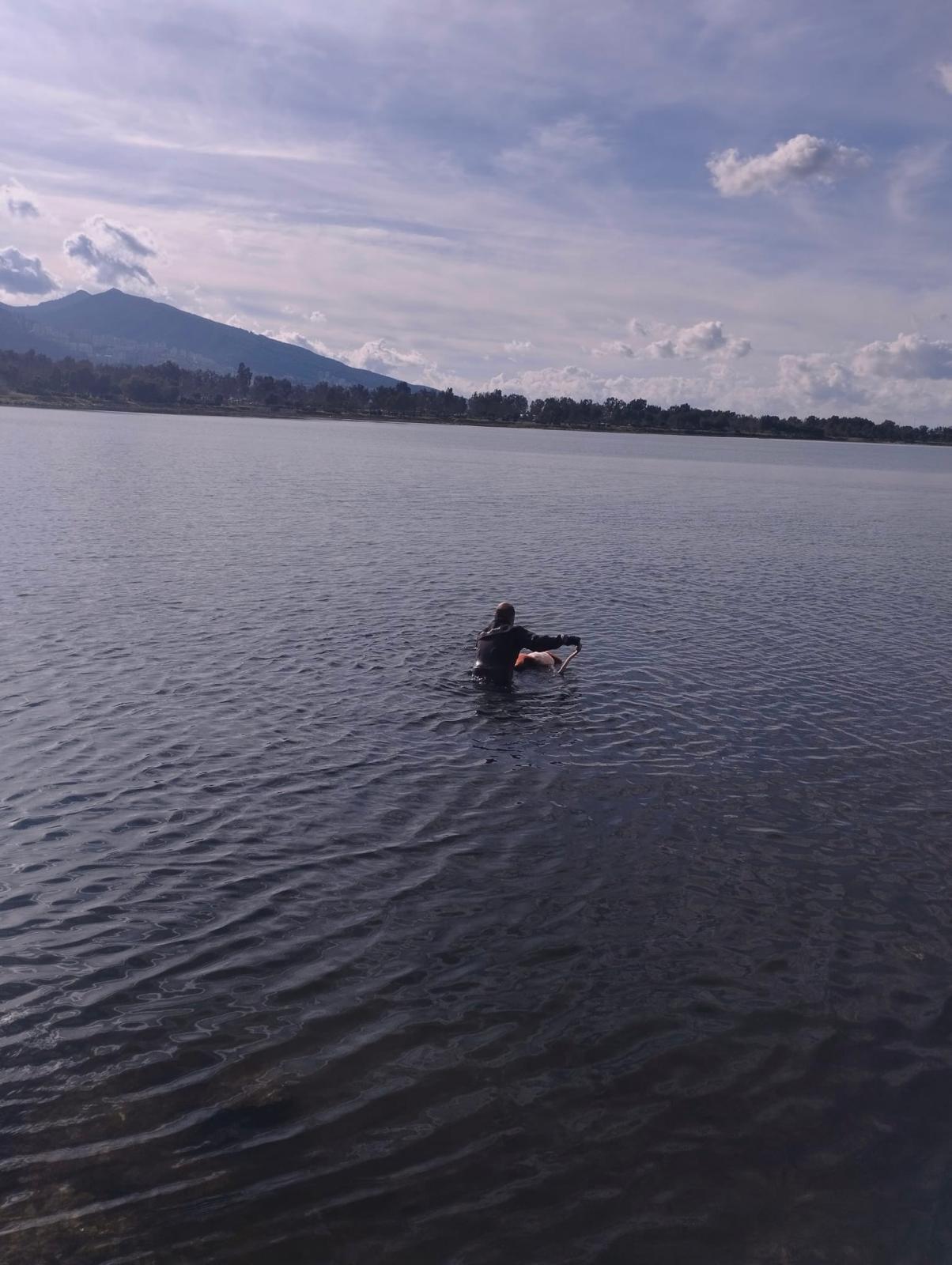 İzmir’de Flamingoya Hayat Veren Kurtarma Operasyonu (3)