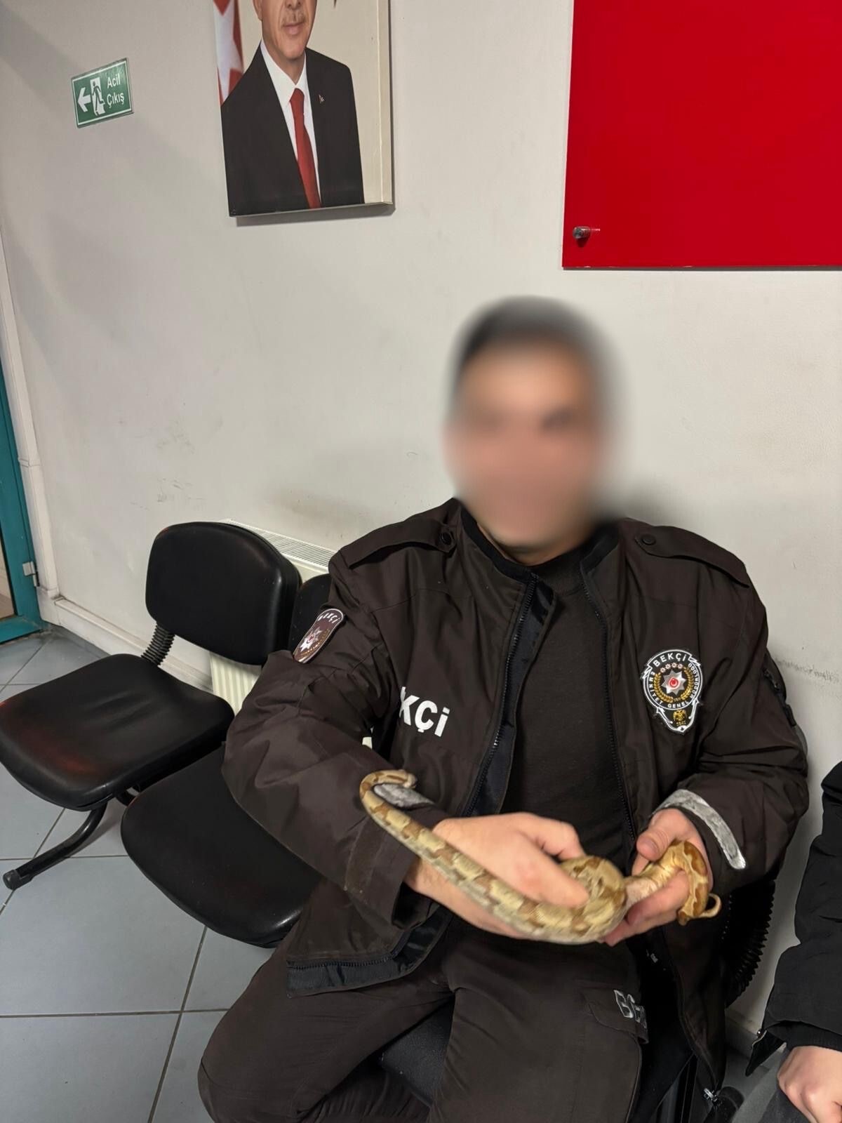 İzmir’de Kafede Yılanla Dolaştı, Cezası Ağır Oldu! (2)