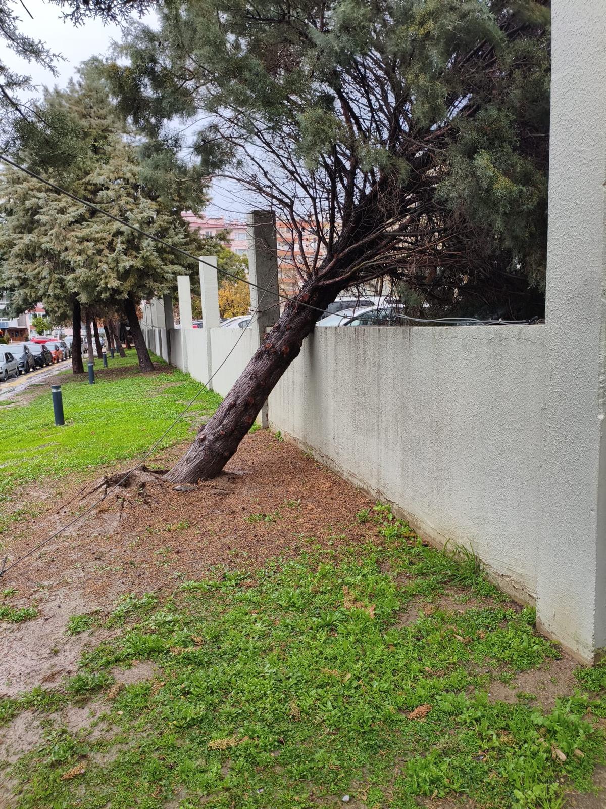 İzmir’i Fırtına Vurdu Belediyeden Tam Seferberlik (2)
