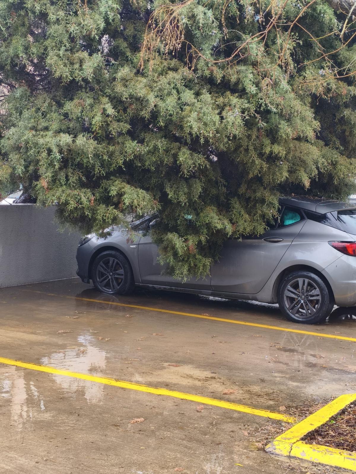 İzmir’i Fırtına Vurdu Belediyeden Tam Seferberlik (6)