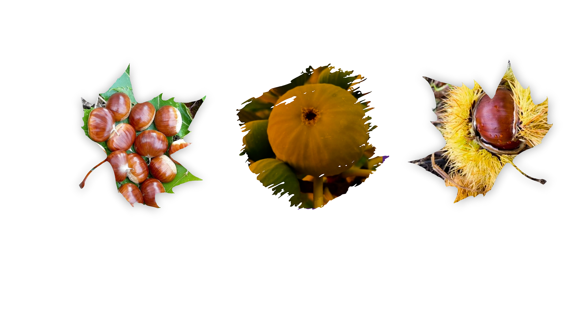 İzmi̇r’i̇n Bi̇li̇nmeyen Cenneti̇ Beydağ (2)